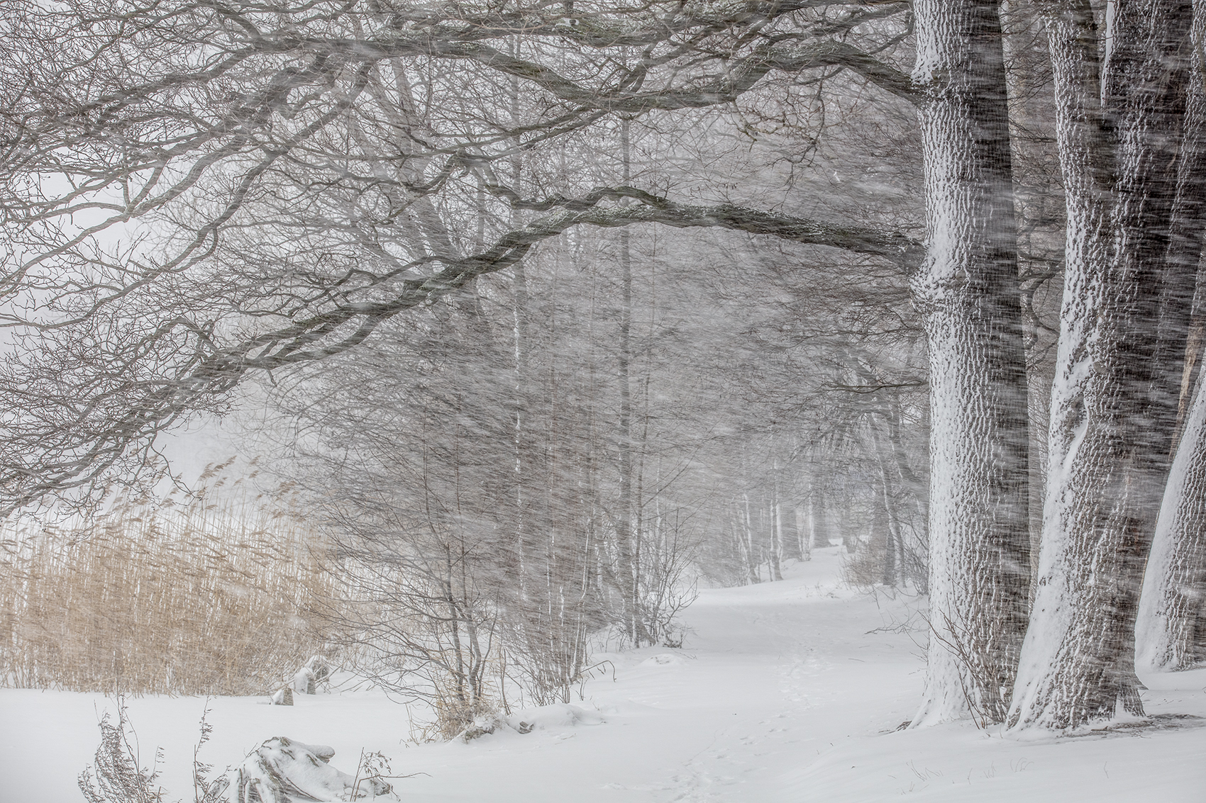 , Aleksandr Mihailov