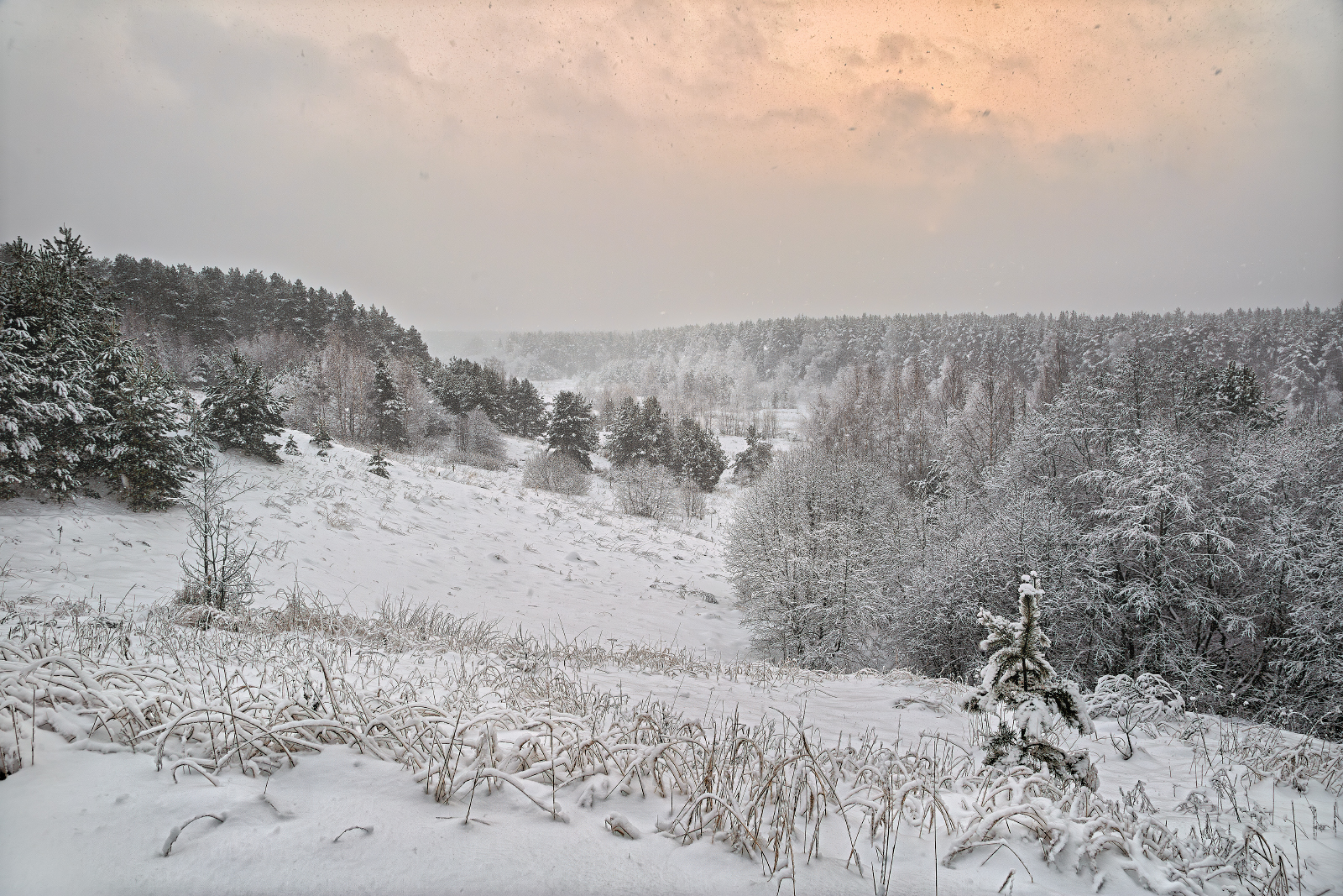 , Евгений Ерохин