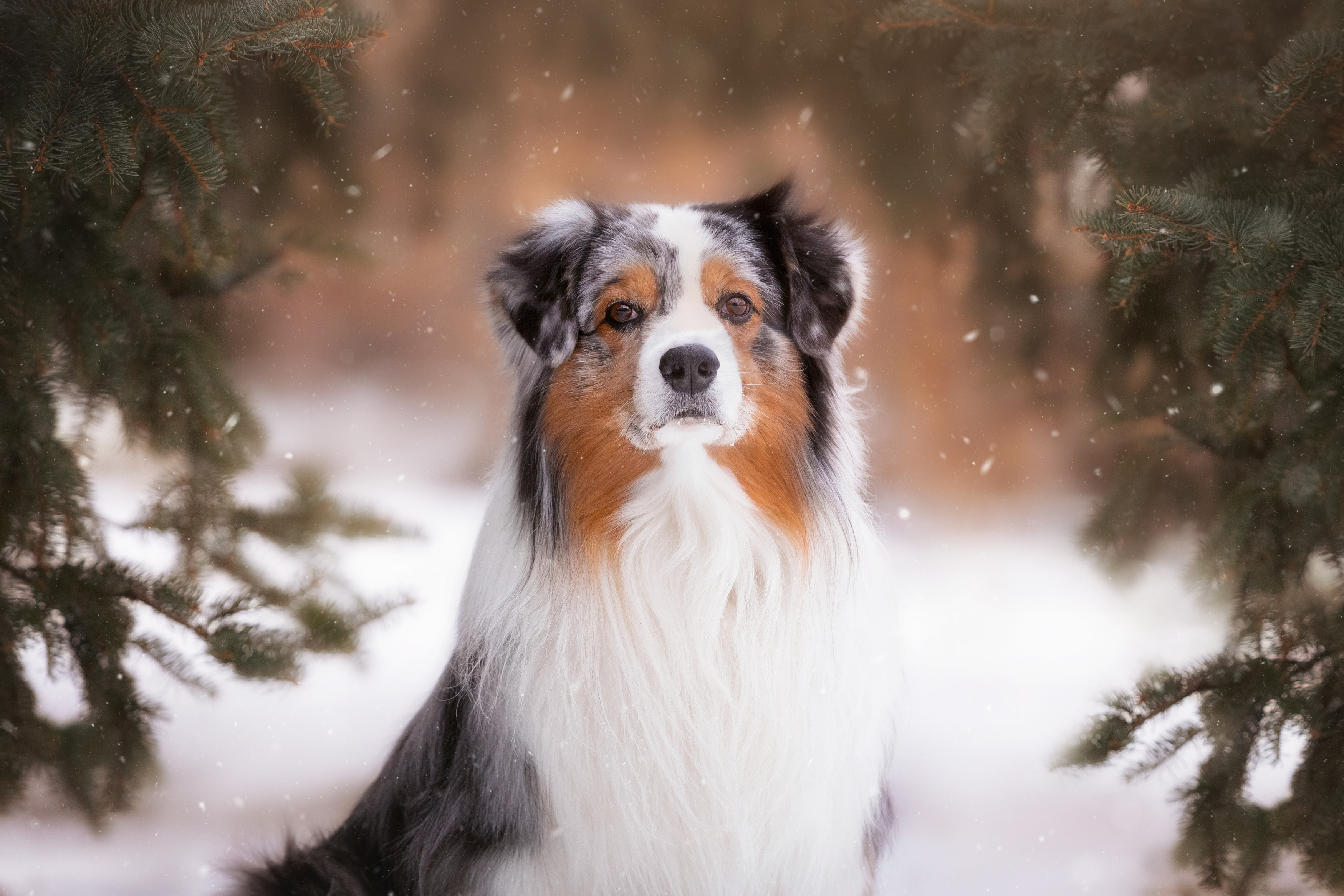 , Наталья Степанова