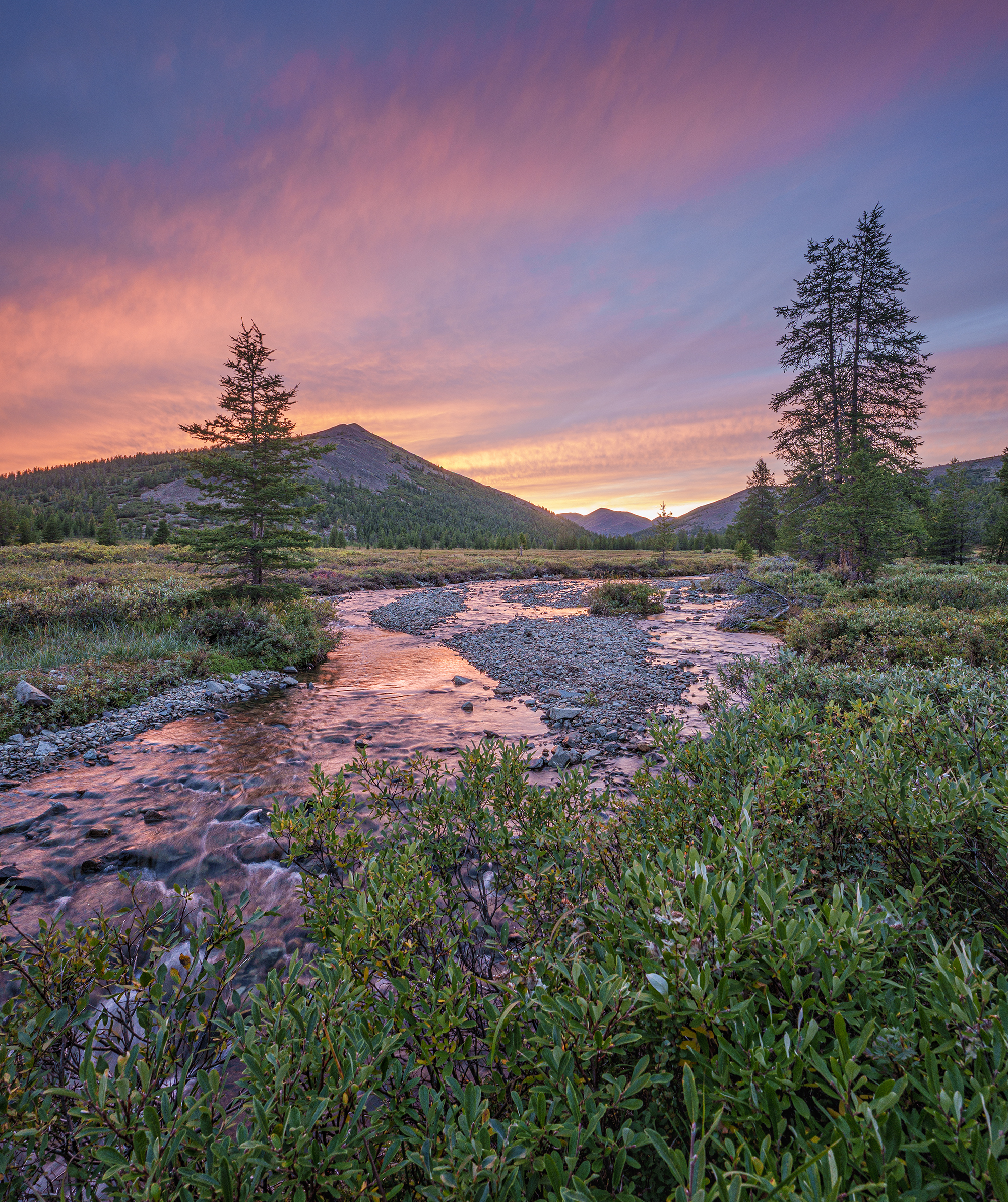 , Андреев Николай