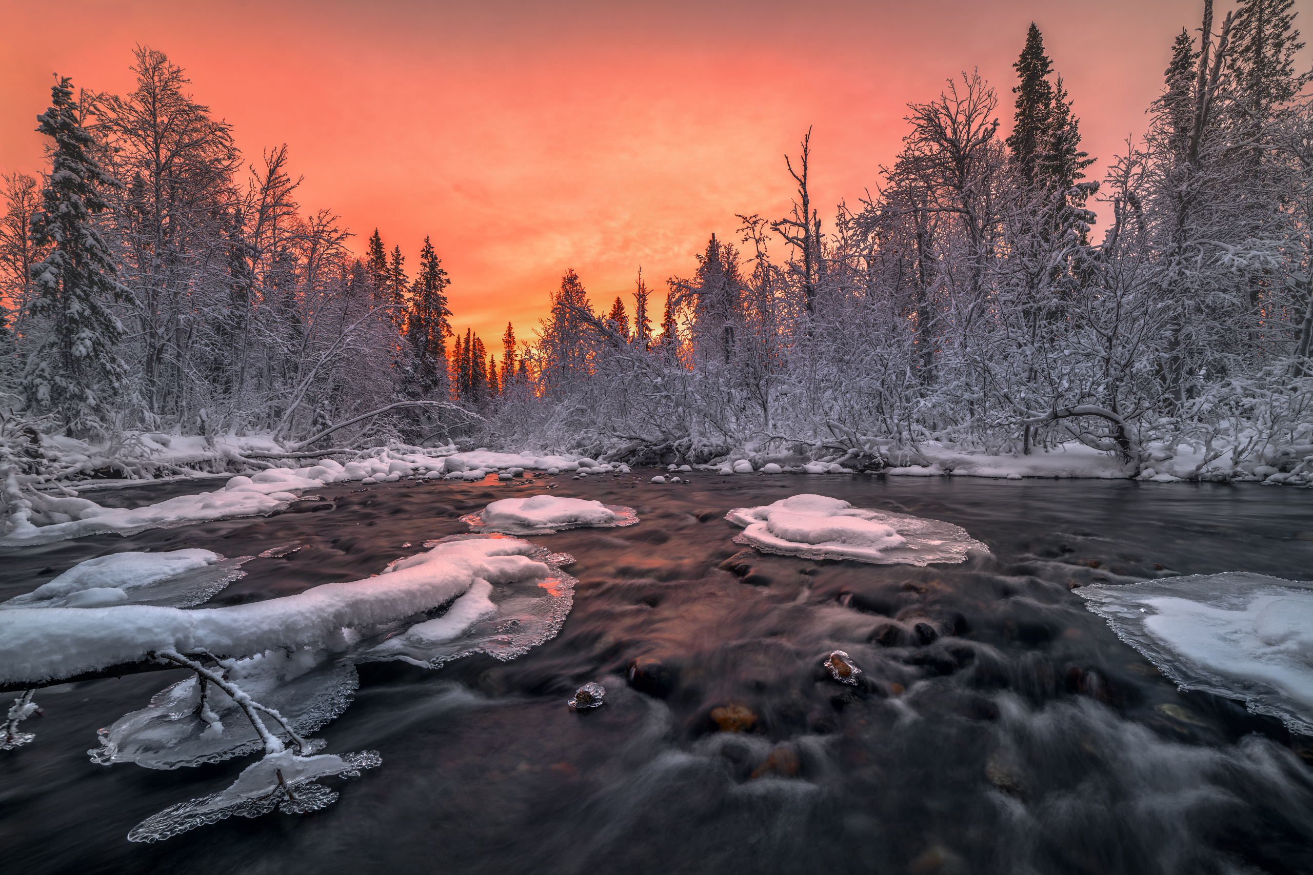 Кольский, Евдокимов Максим