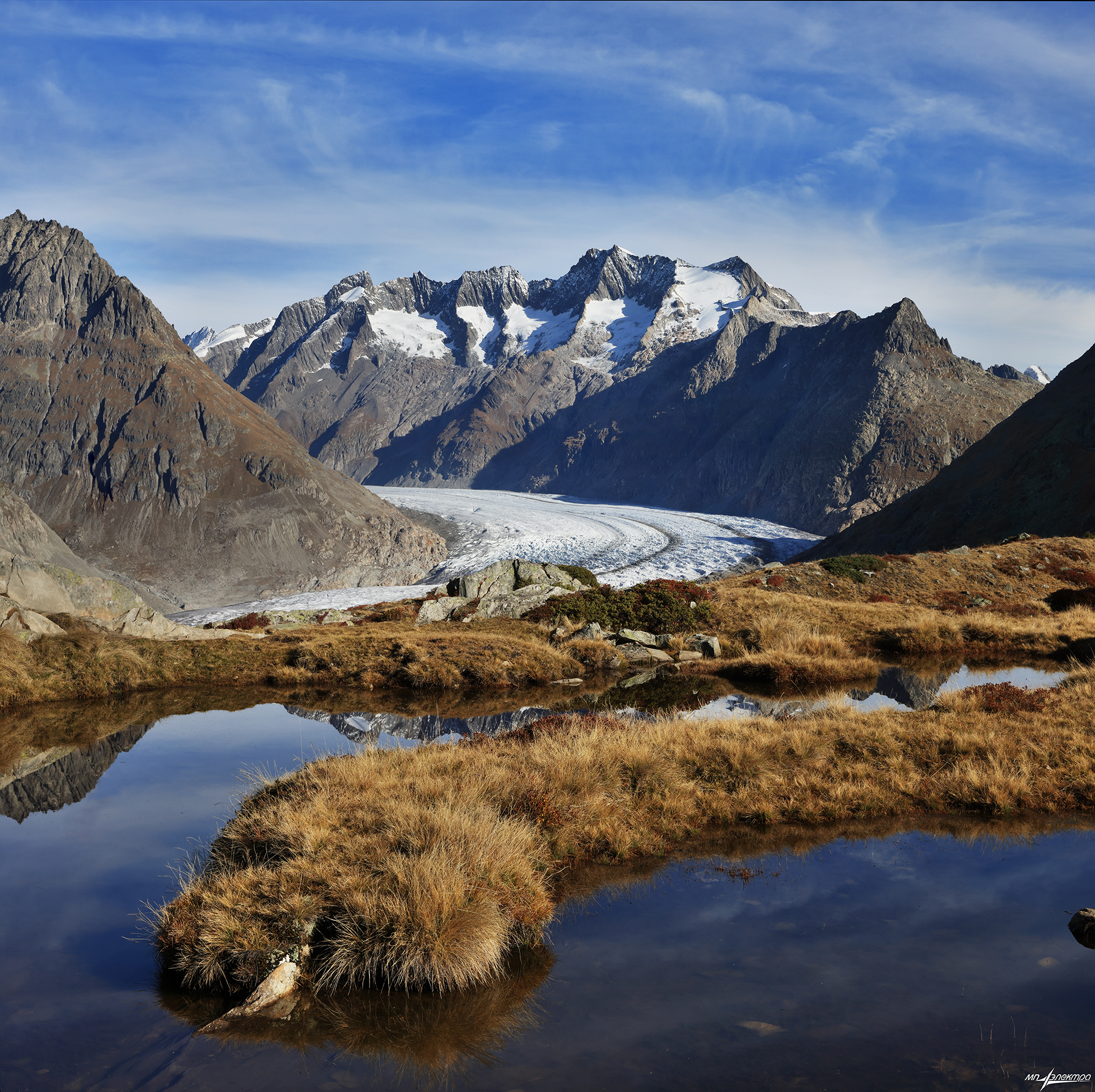 swiss, Матвеев Николай