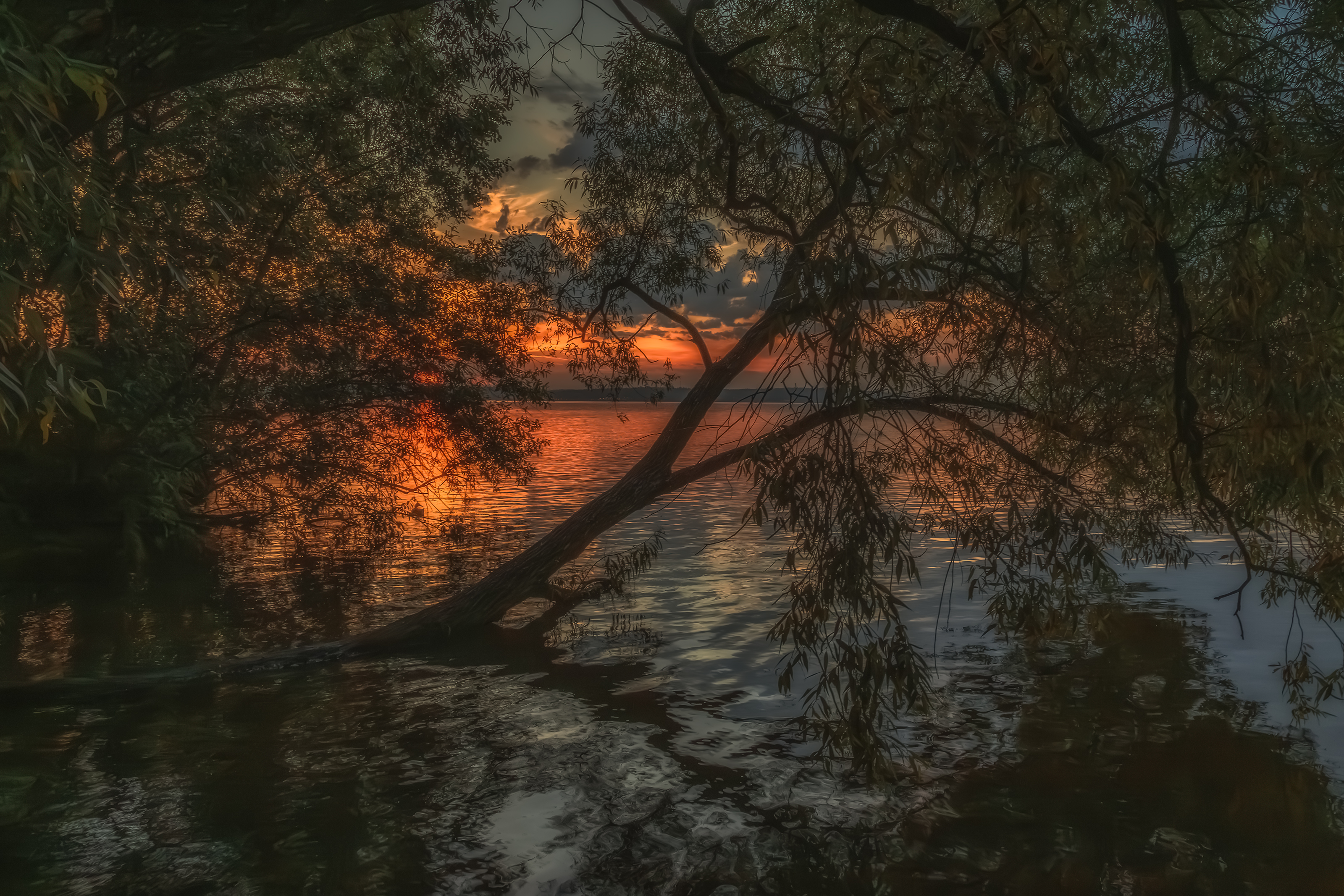 Московская область, Гусева Елена