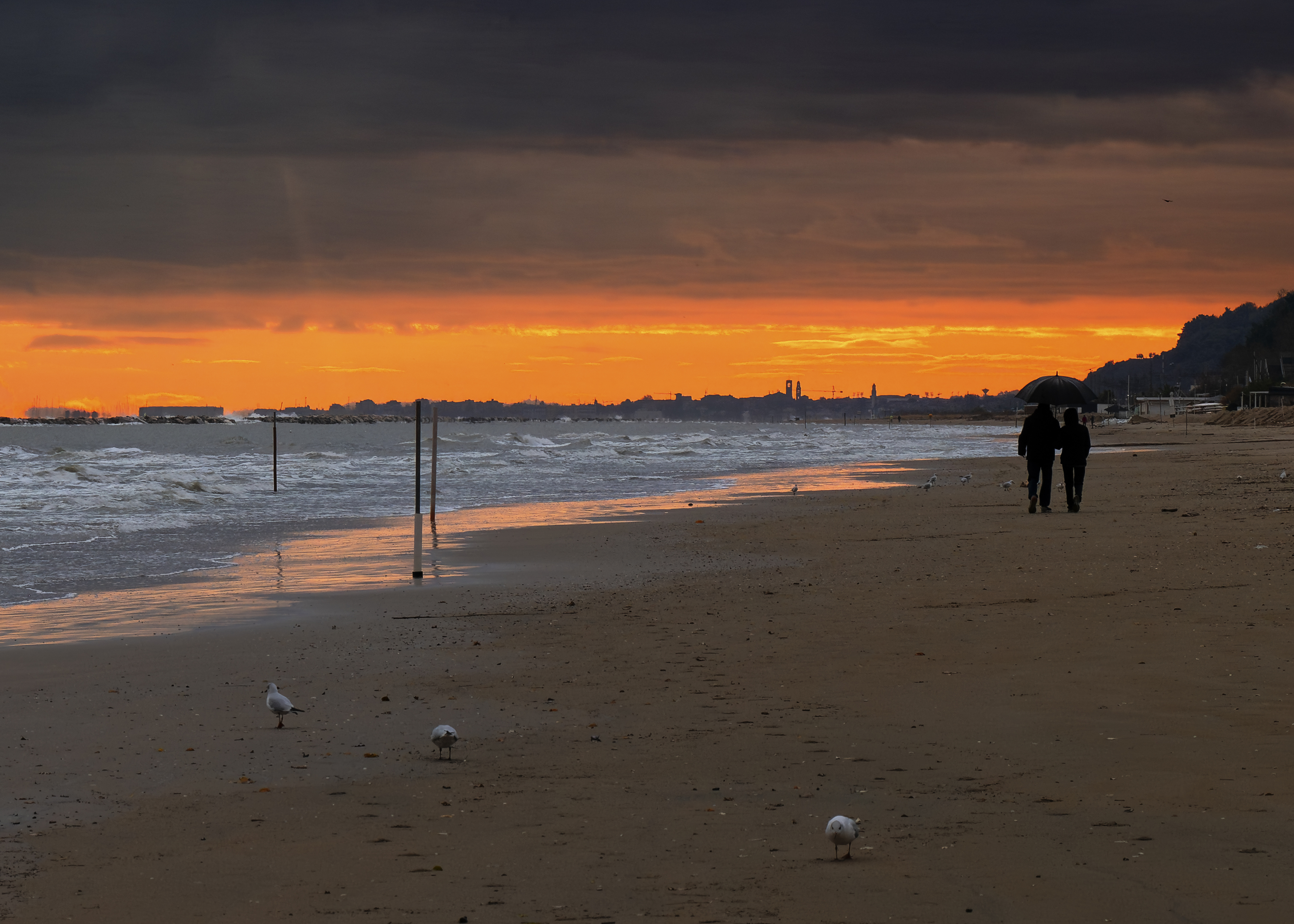 , Denis Cristian BURMELEAC