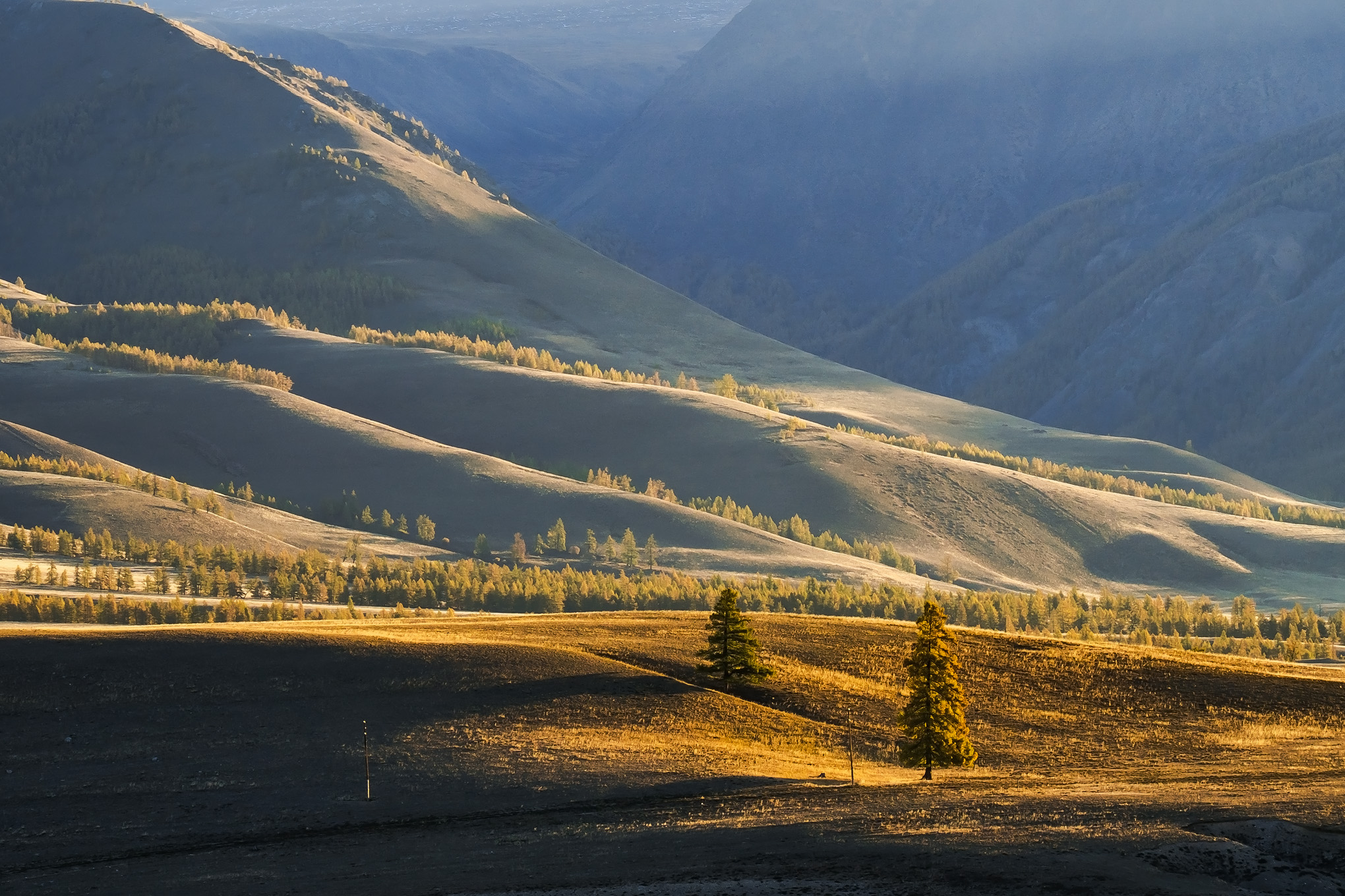 , Межин Сергей