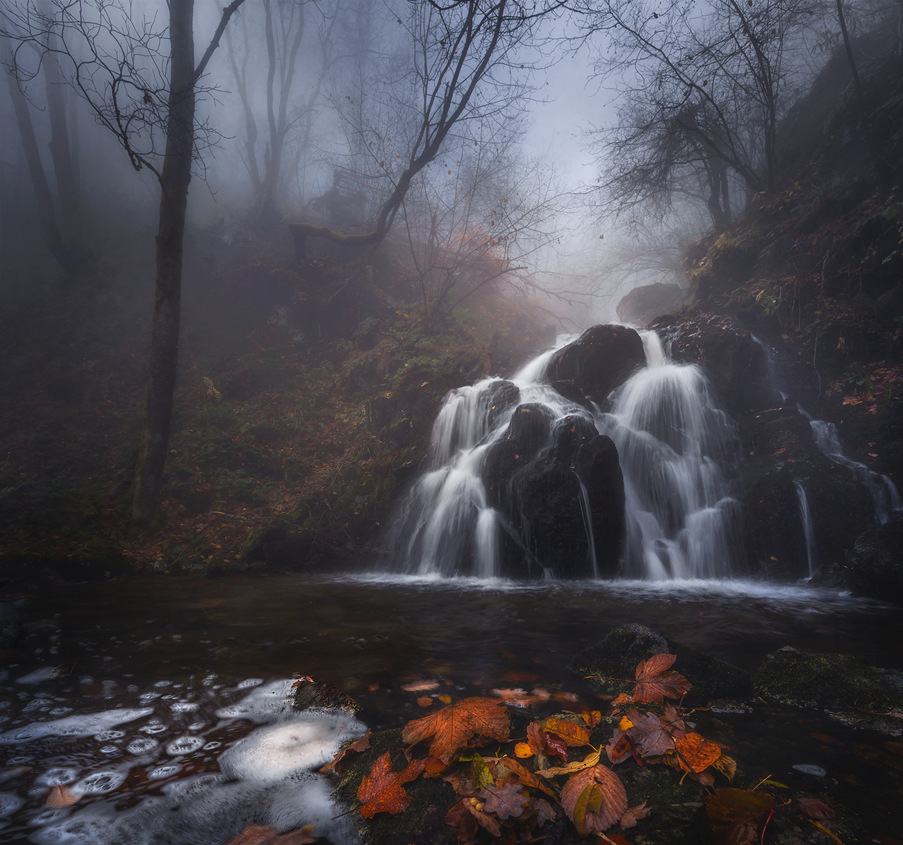 landscape nature scenery forest wood autumn mist misty fog foggy river longexposure mountain roc, Александър Александров