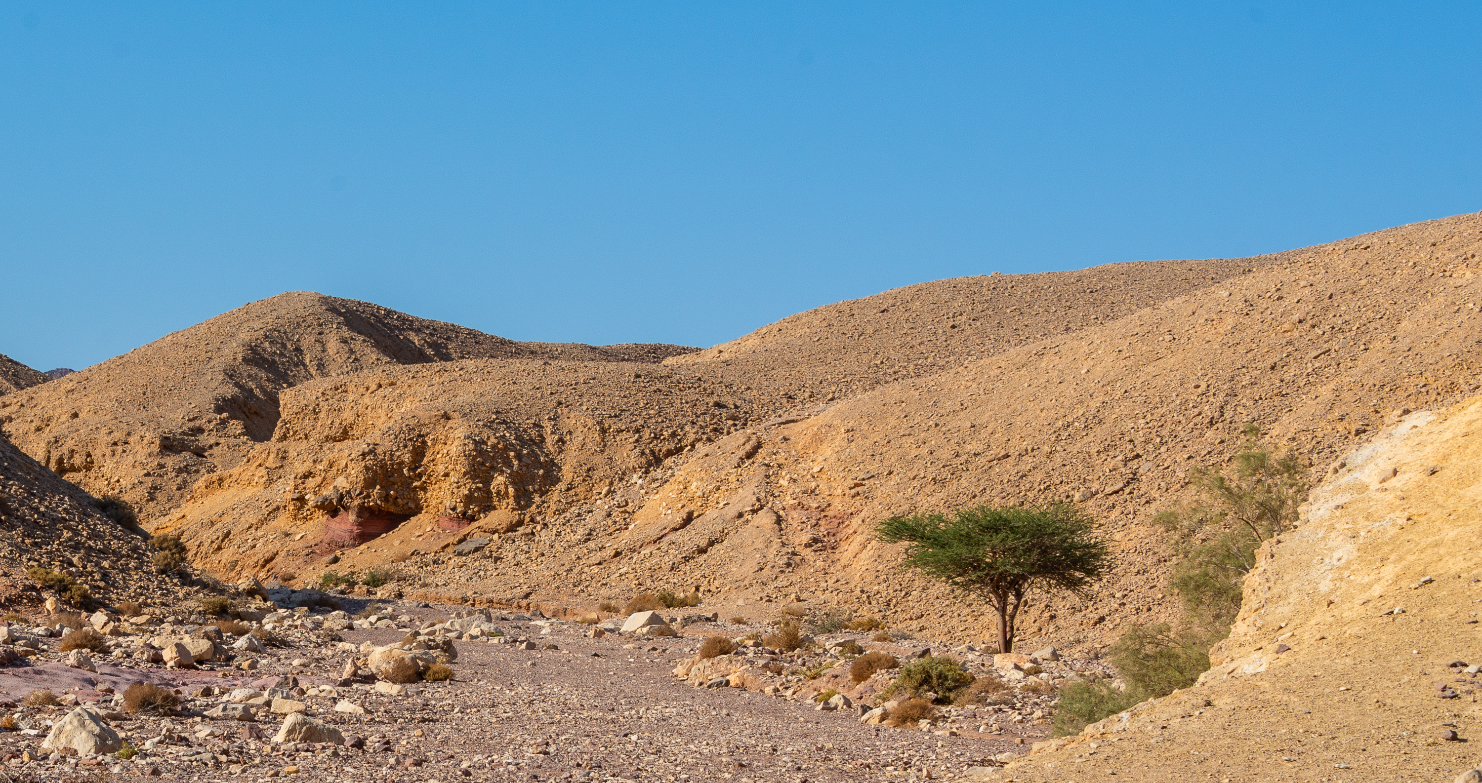 , Vladimir Bragilevsky