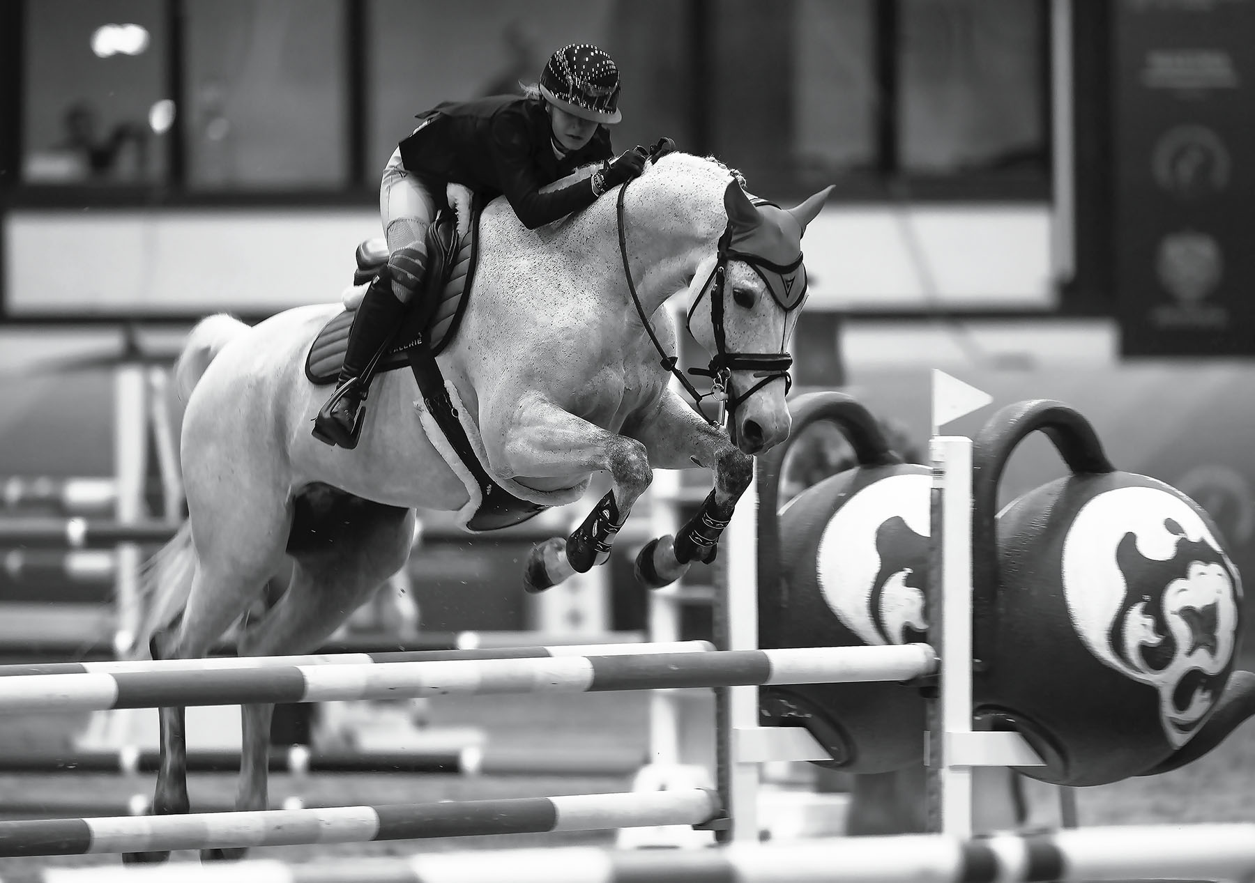 соревнования,конкур ,прыжок, спорт,horse, competition, jump, sport, Стукалова Юлия