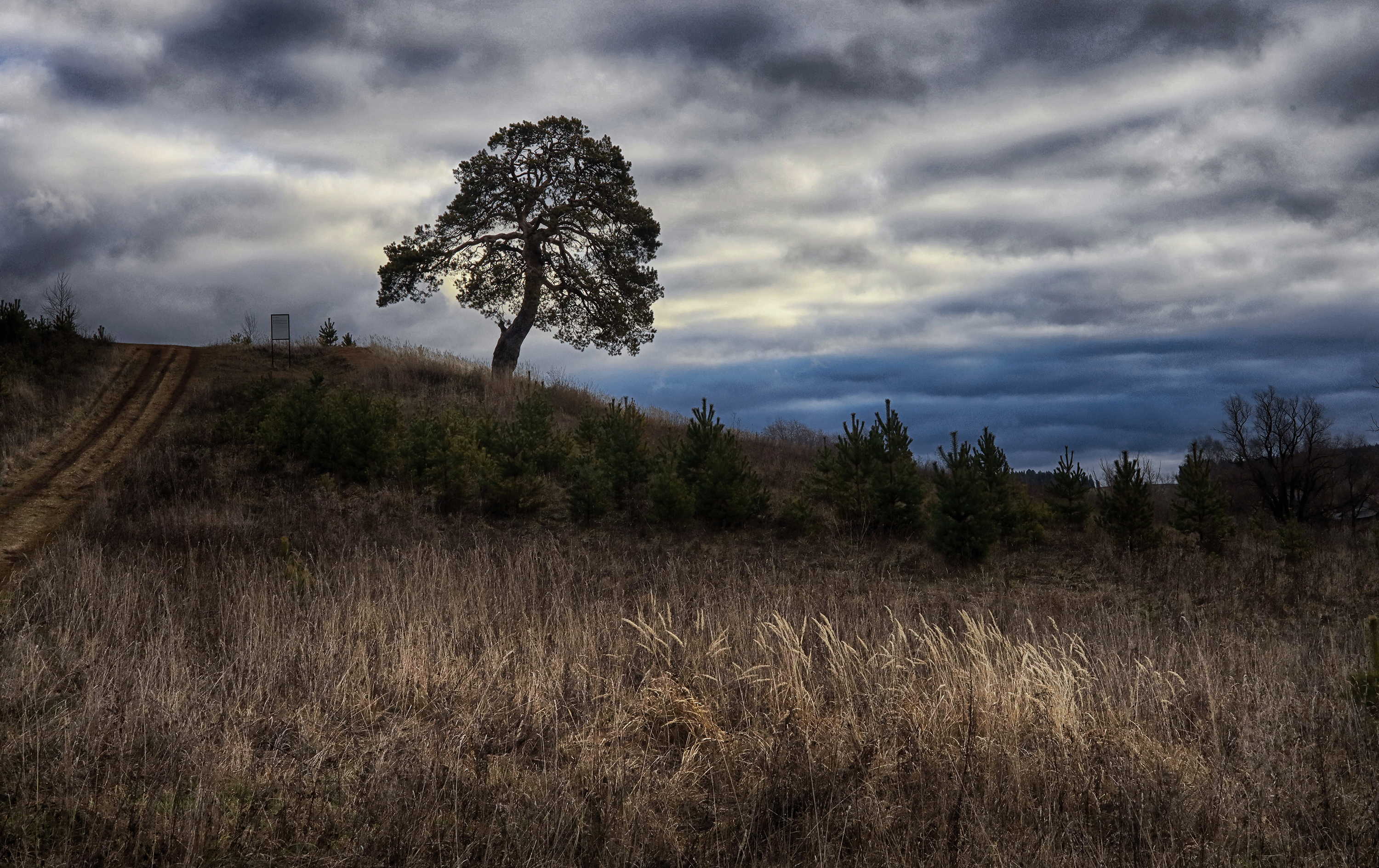 , Павел Мартюшев