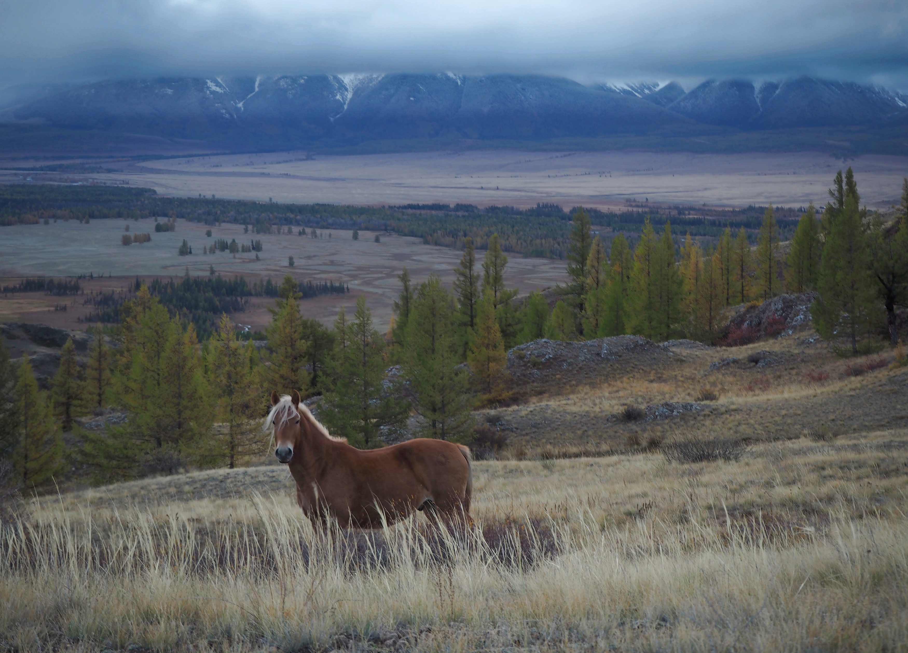 , Яковлев Евгений