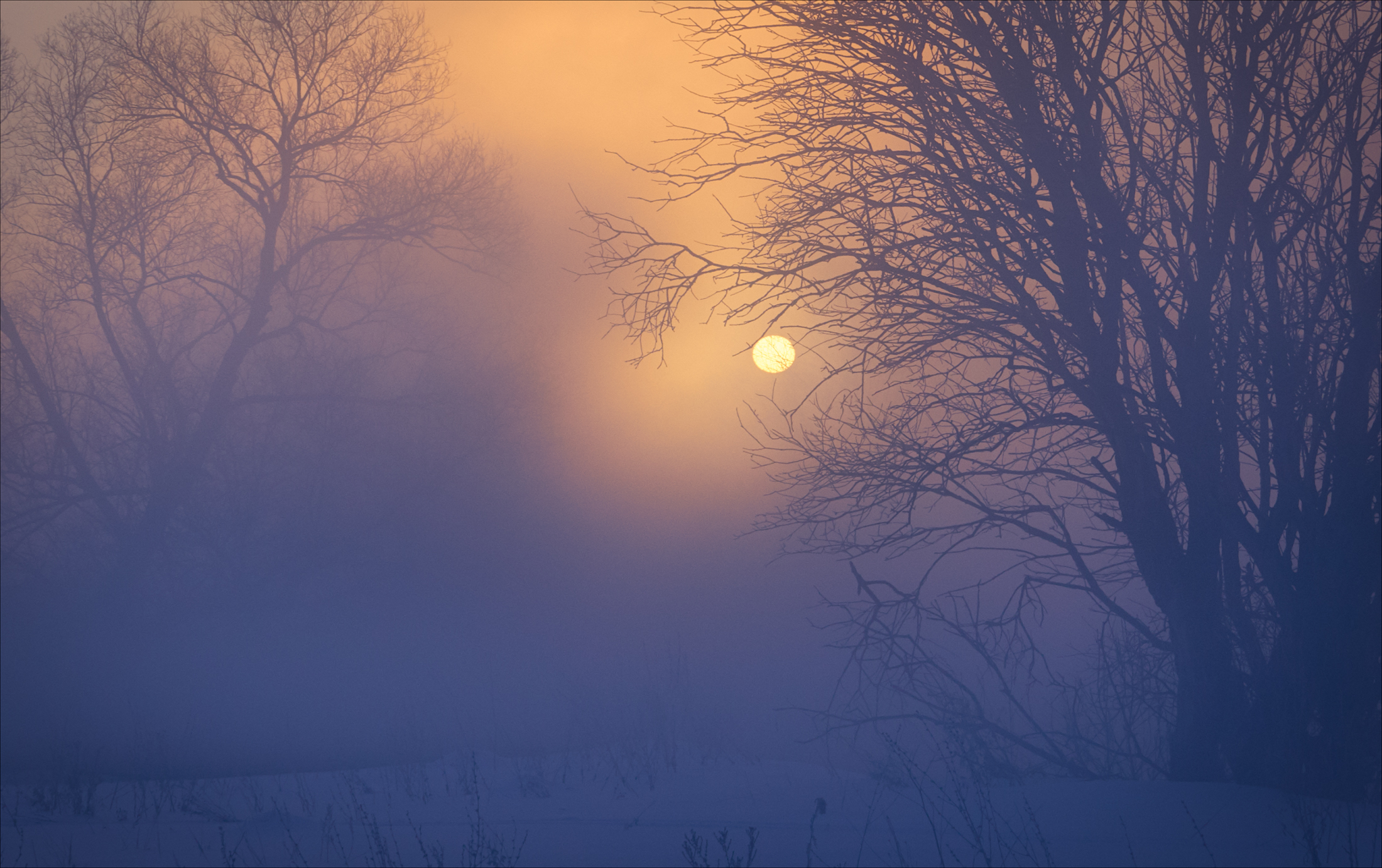 рассвет, мороз, туман, солнце, Богорянов Алексей