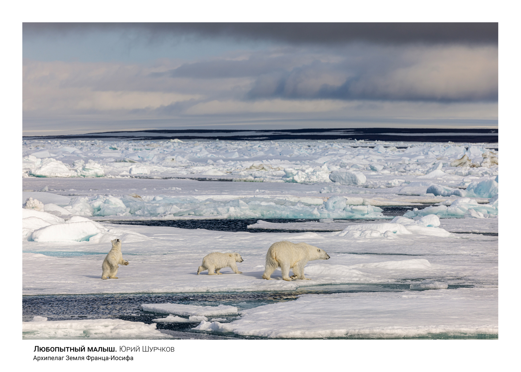 , Шурчков Юрий