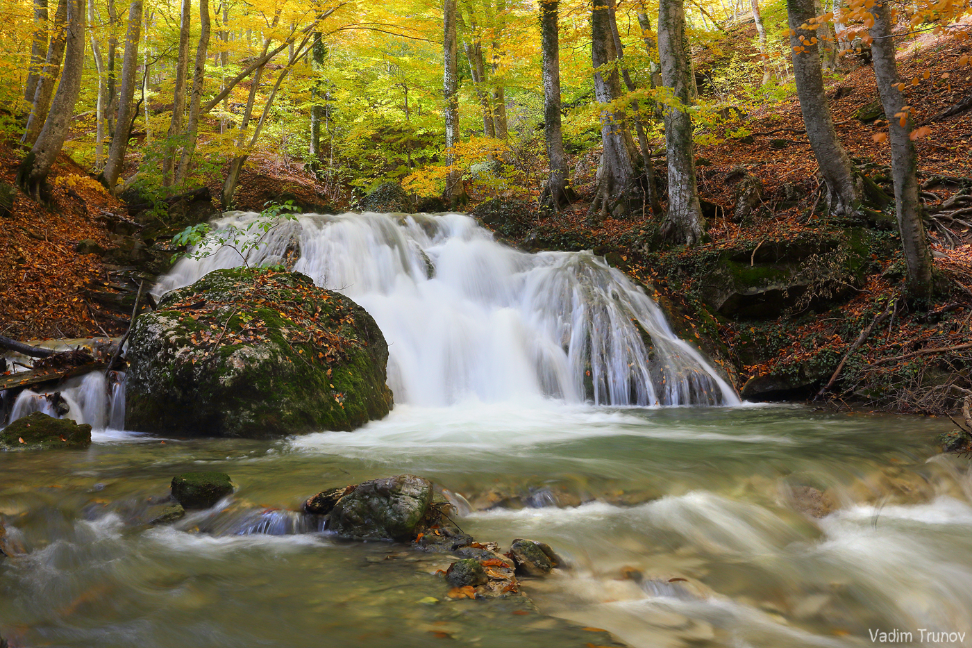 крым, Вадим Трунов