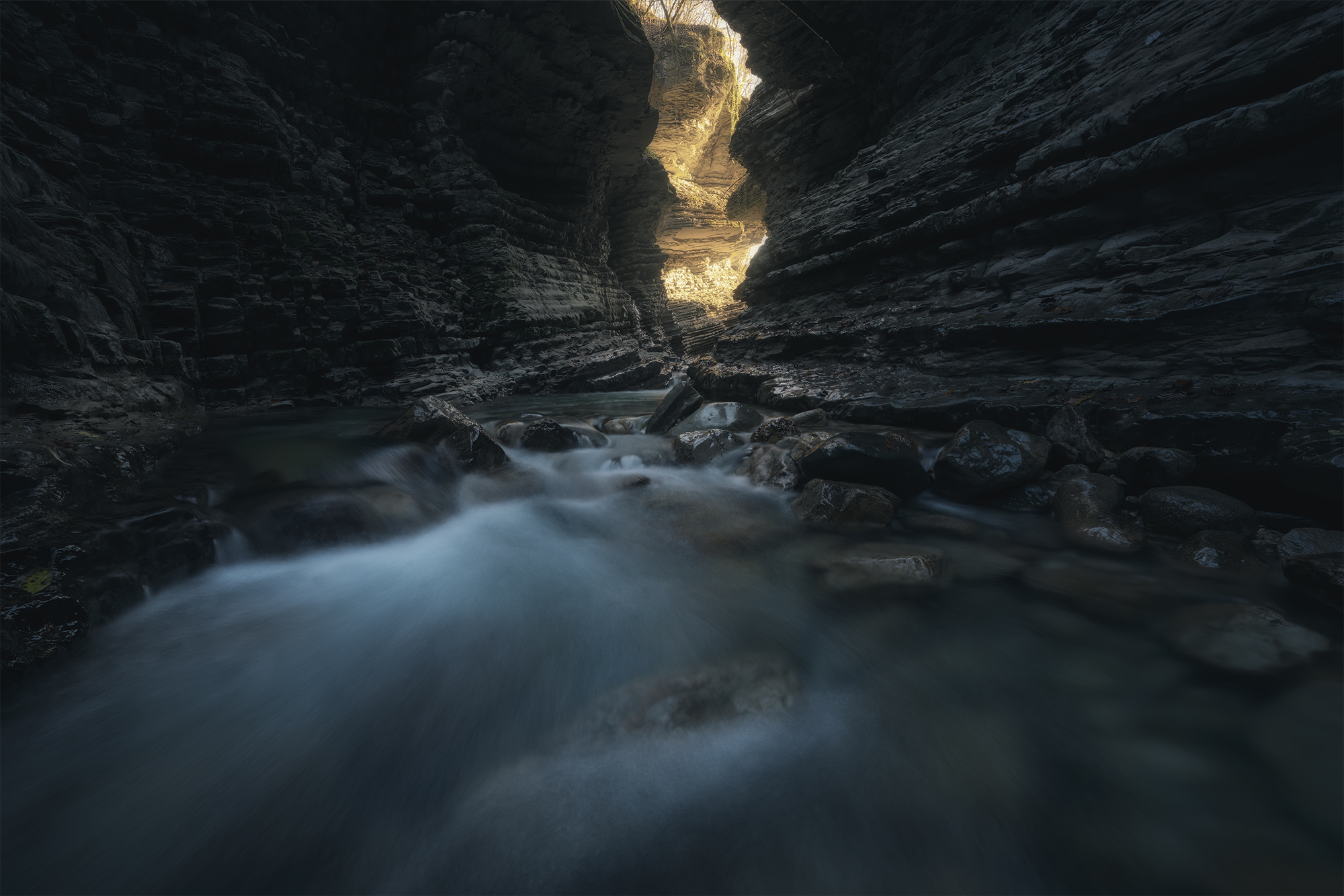 , de Franzoni Thomas