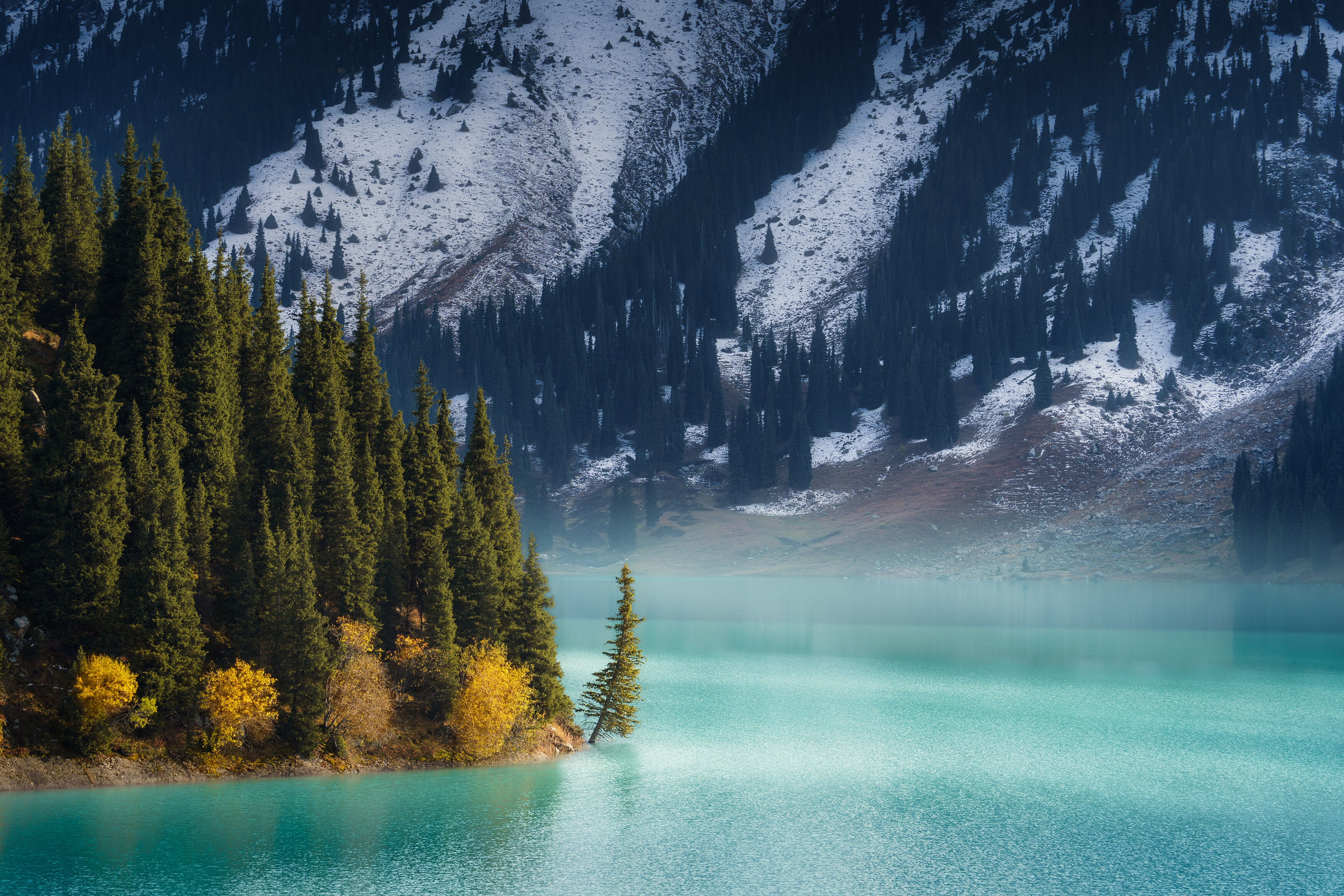 , Купчиков Илья