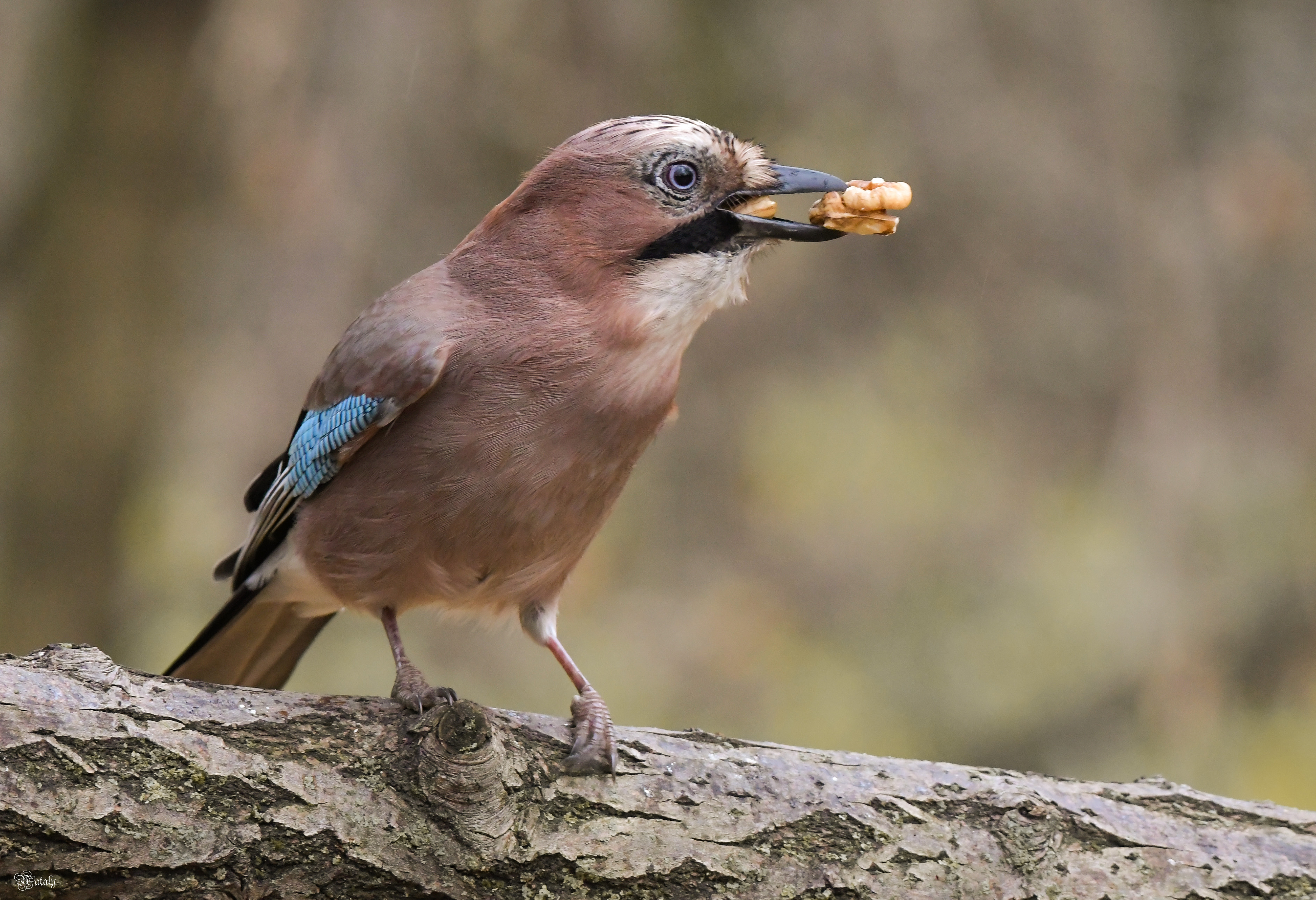 , Наталья Екимова