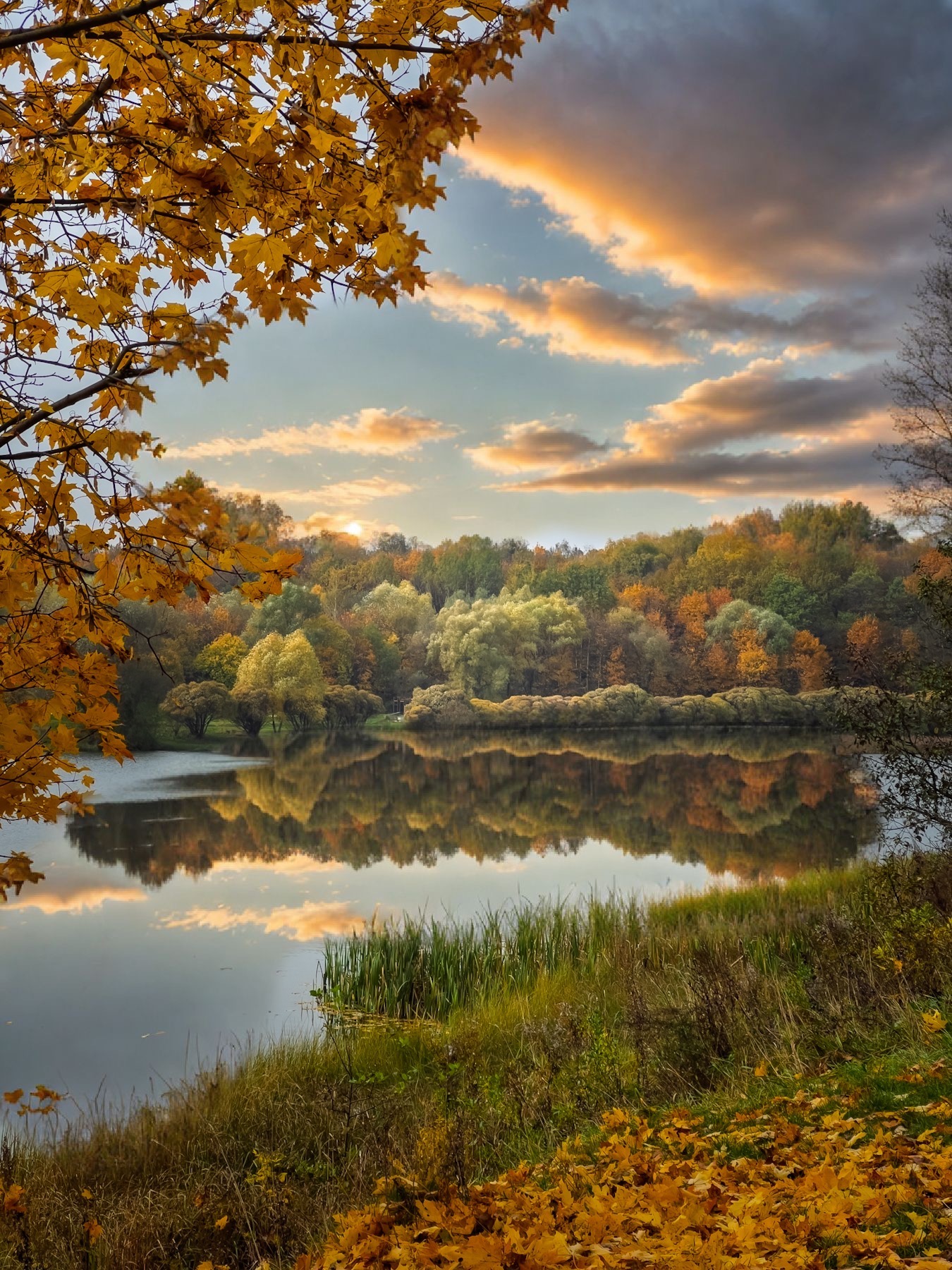 пейзаж, landscape, nature, природа, осень, autumn, золотаяосень, goldatum, закат, sunset, пруд, Julia Kaissa