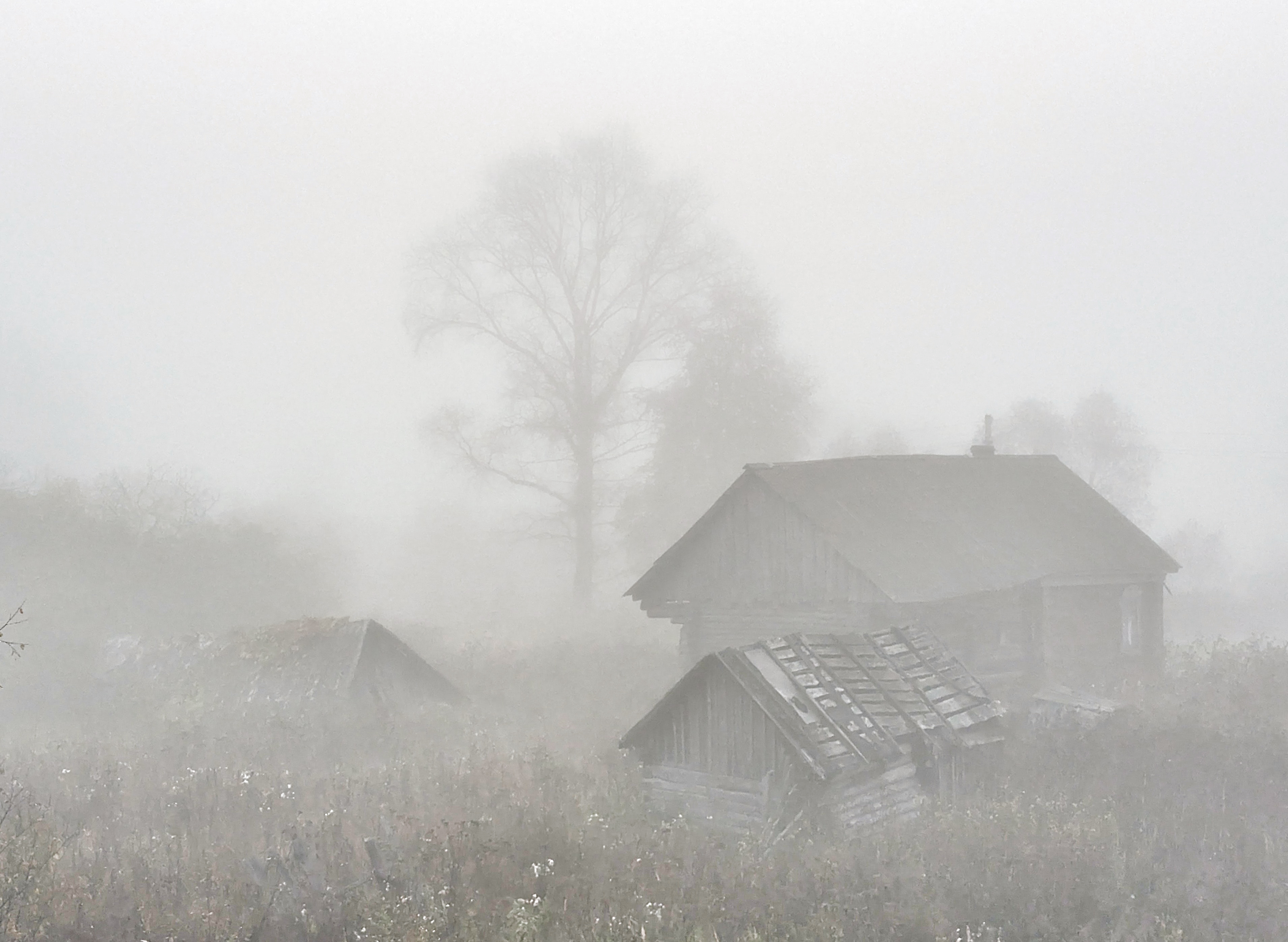 , Tатьяна Дин