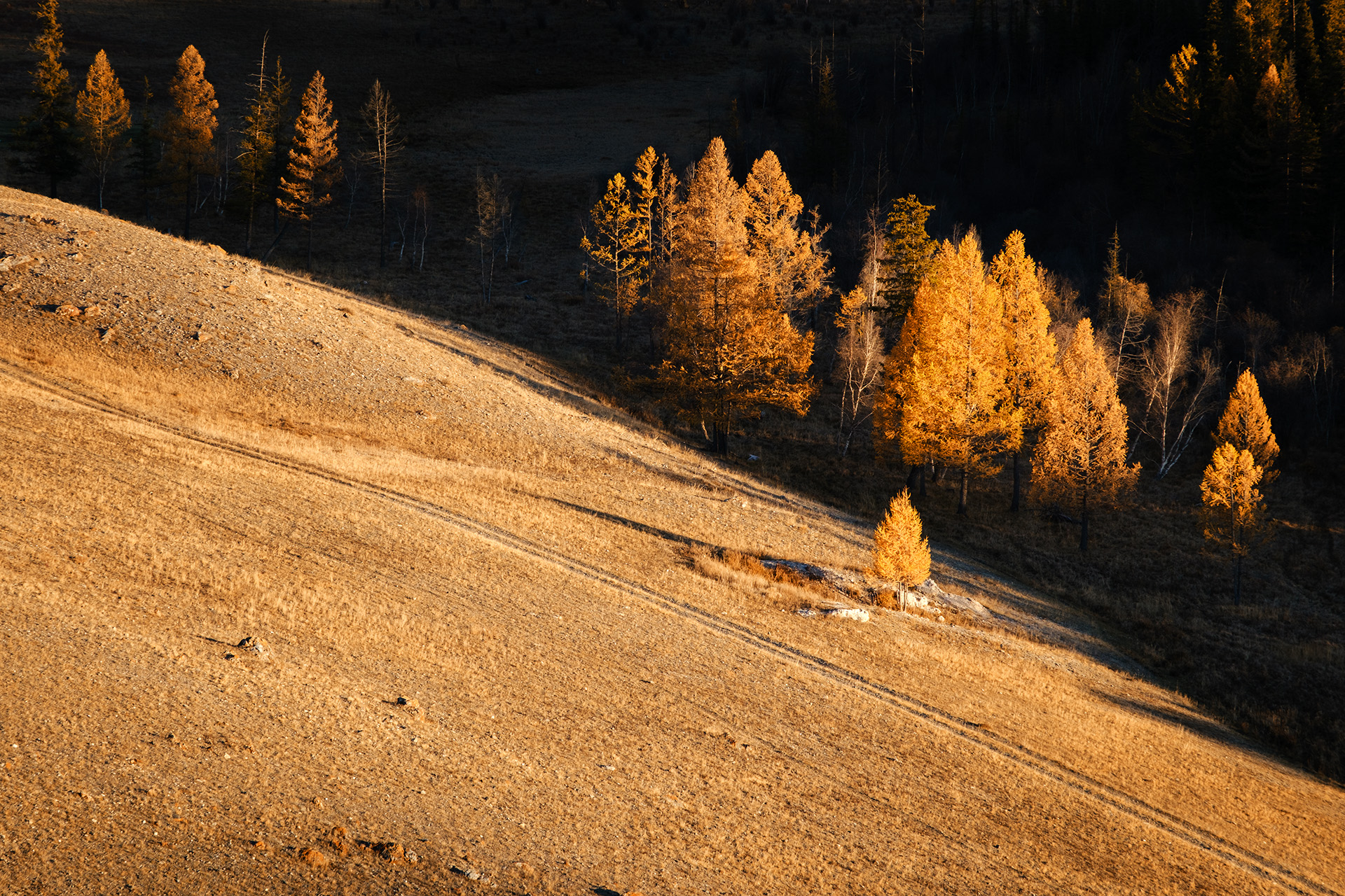, Бодрягин Виталий