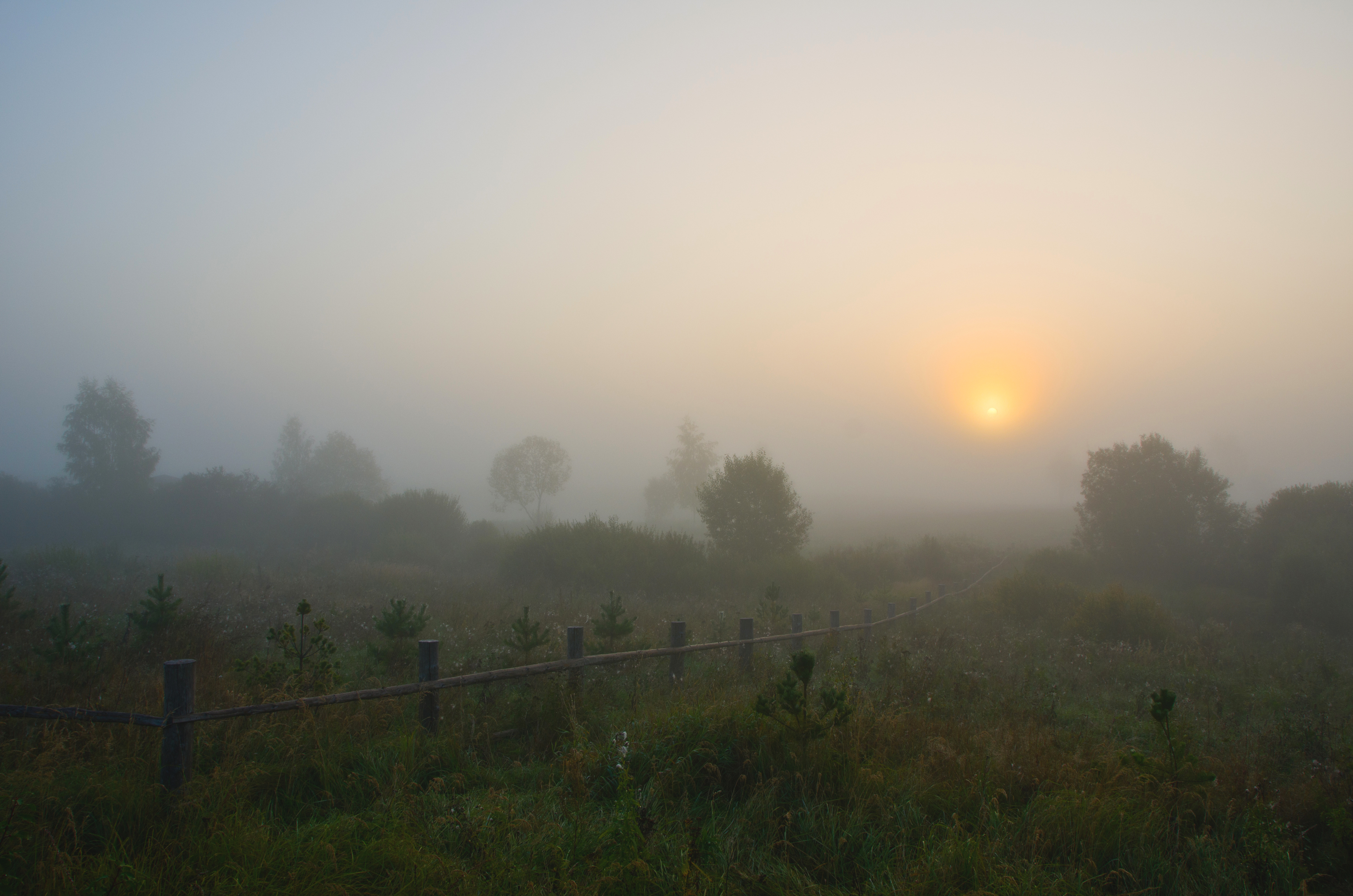 Туман, утро, рассвет, пушкинские, горы, Kudryavtsev Pavel