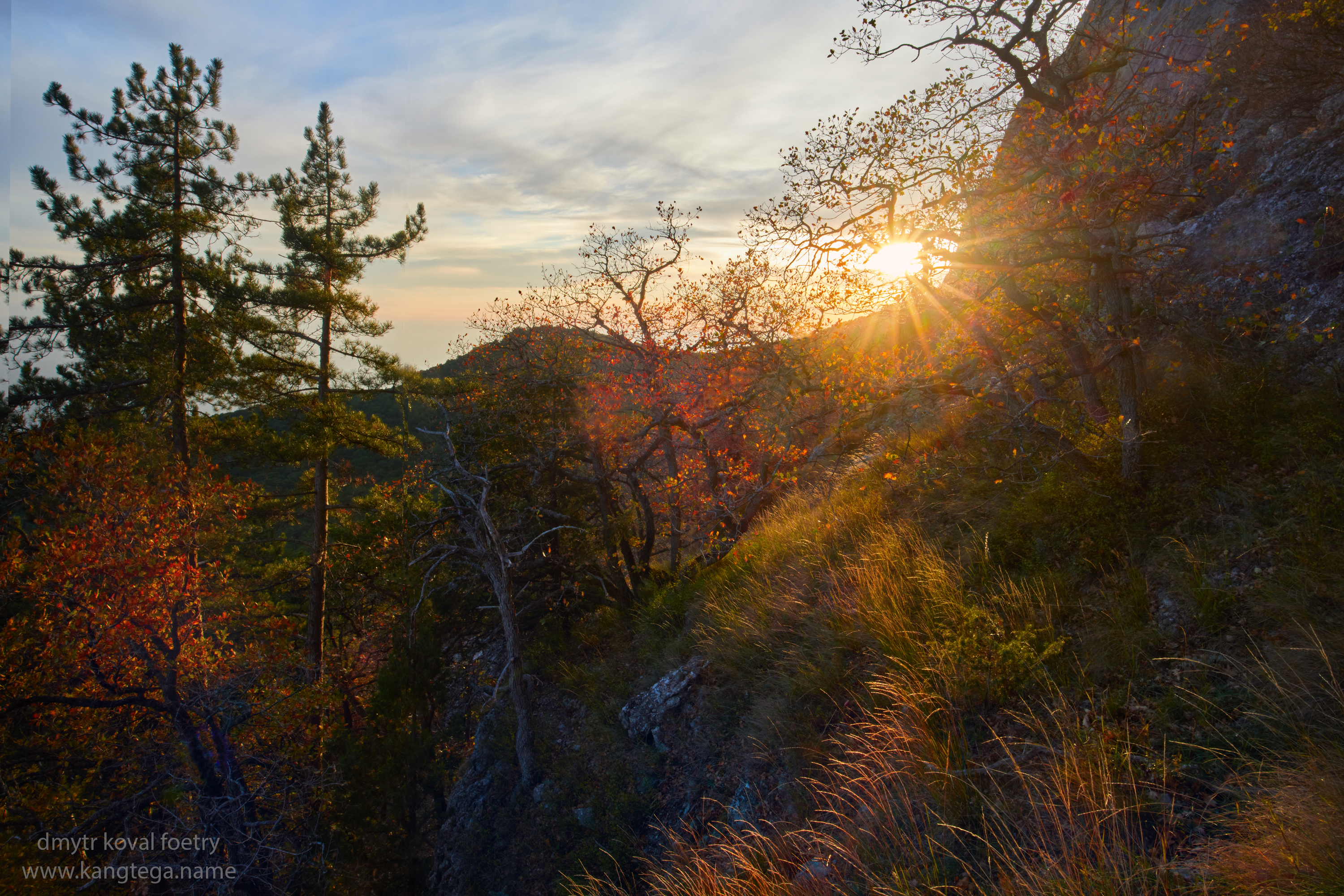 пейзажемагьё, пейзаж-как-виденье, Коваль Дмитр