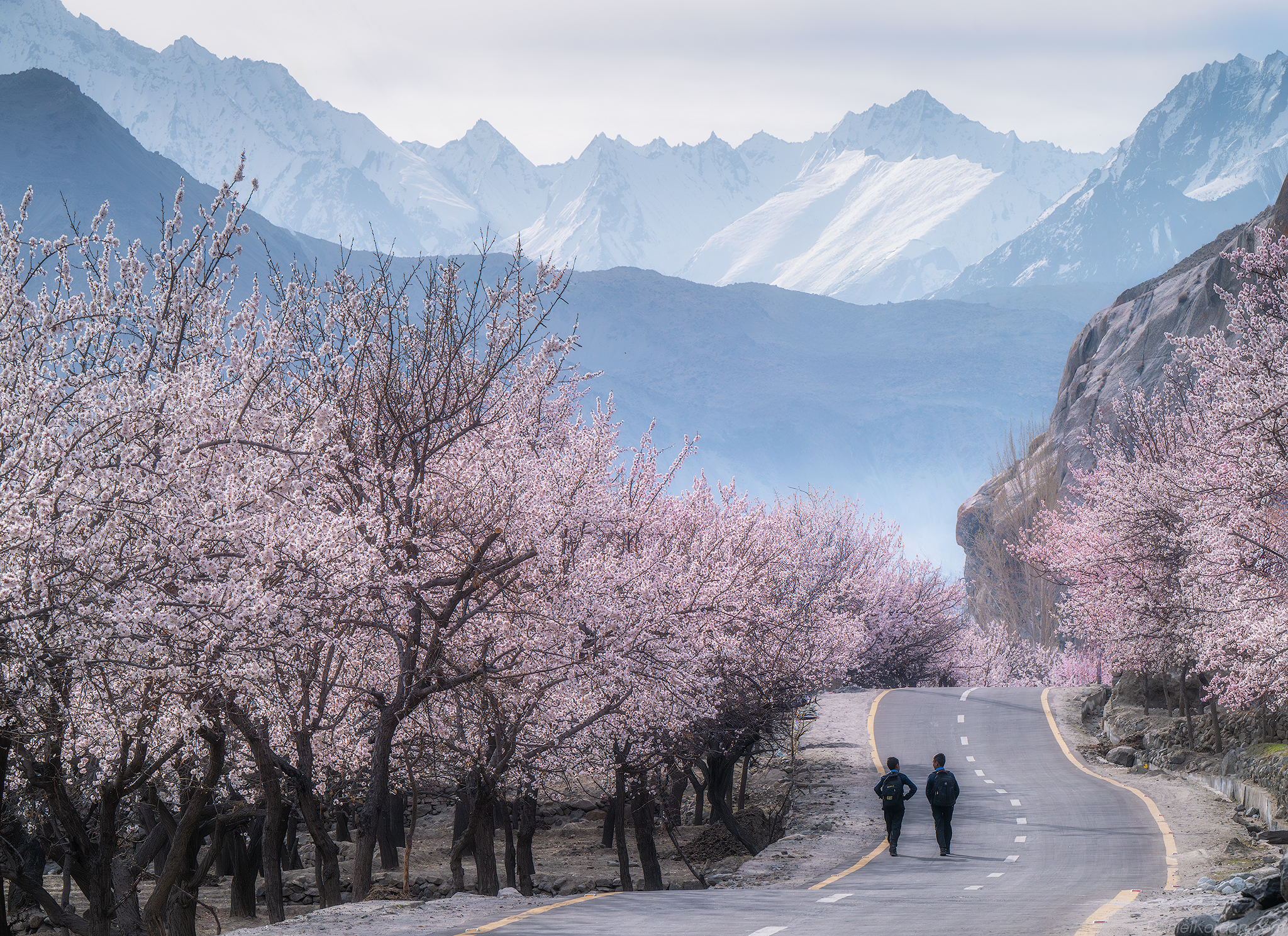 Pakistan, Даниил Коржонов