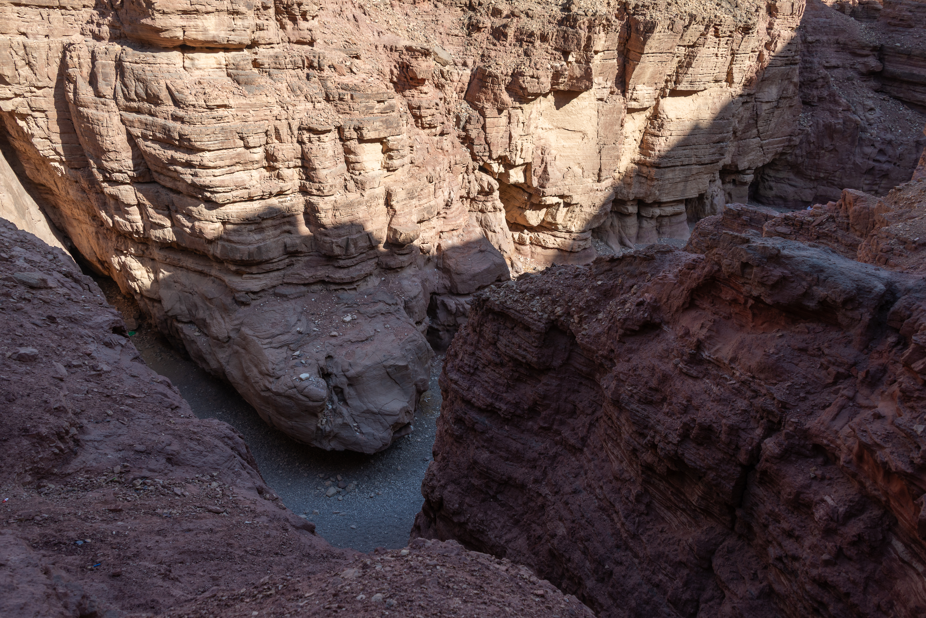 , Vladimir Bragilevsky