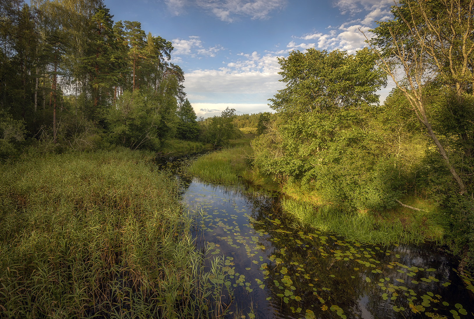 , Сергей Аникин