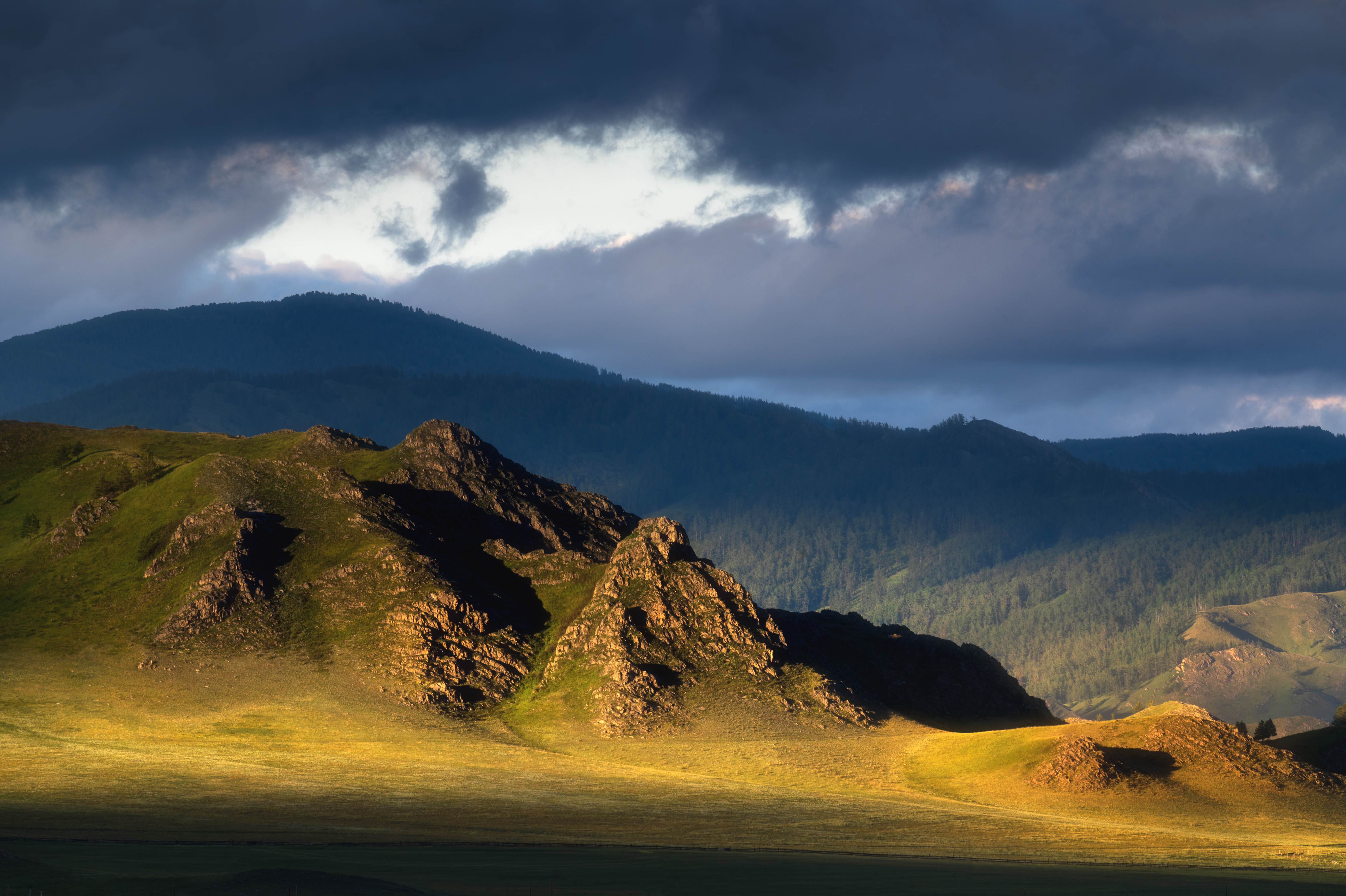 усть-канская степь, горный алтай, Андреева Светлана