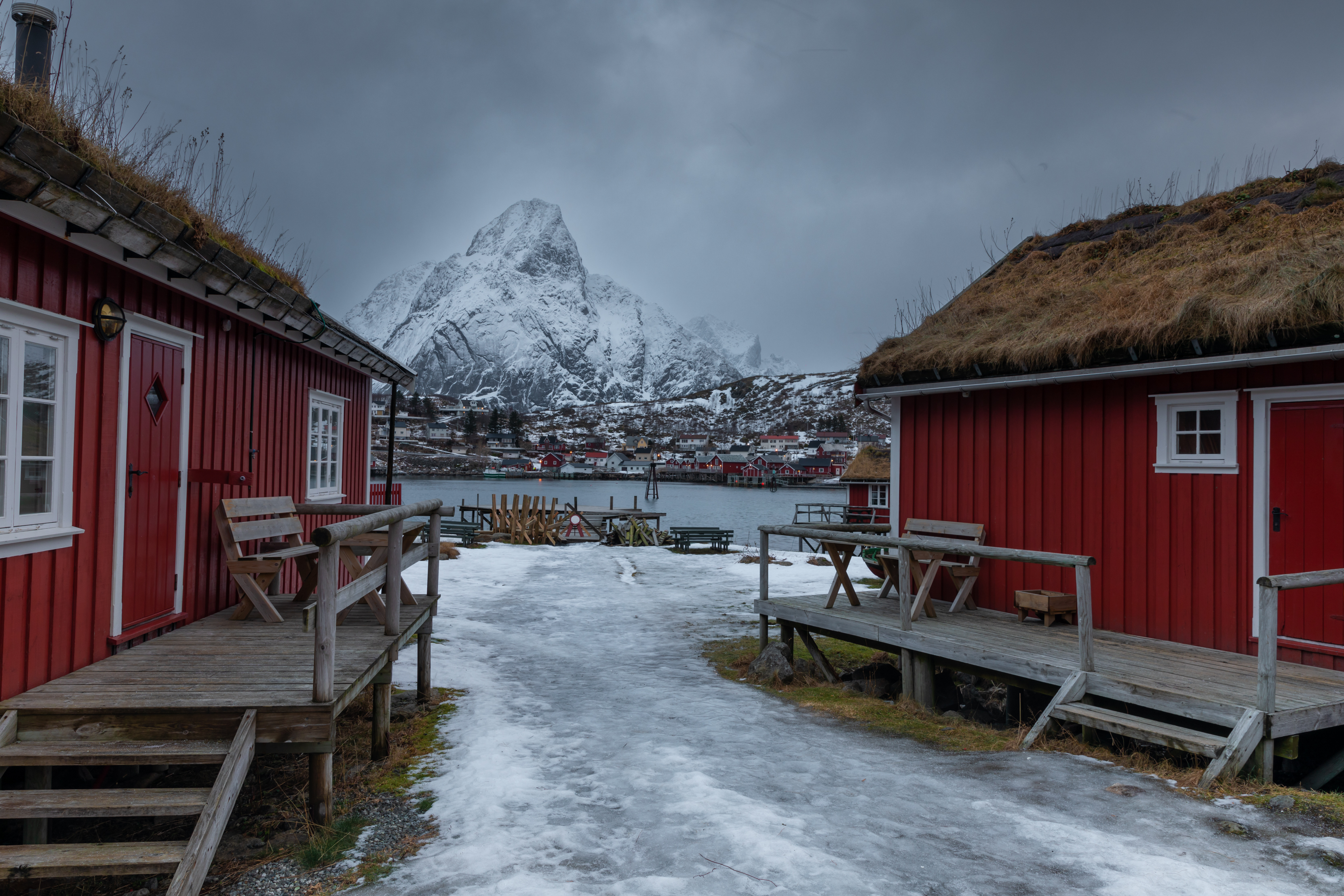 , Евгения Чех