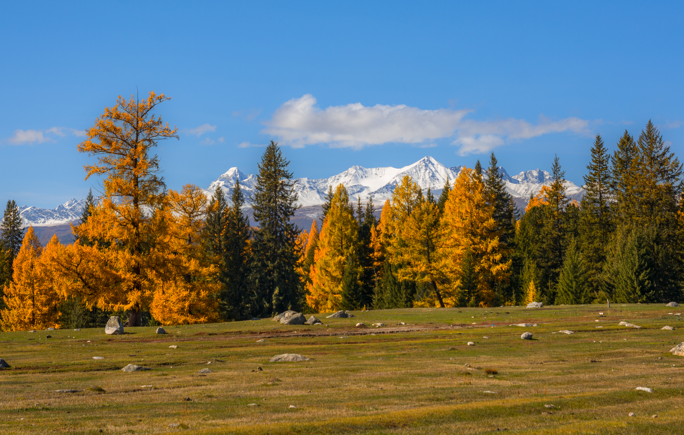 россия, горный алтай, осень, Андрей Поляков