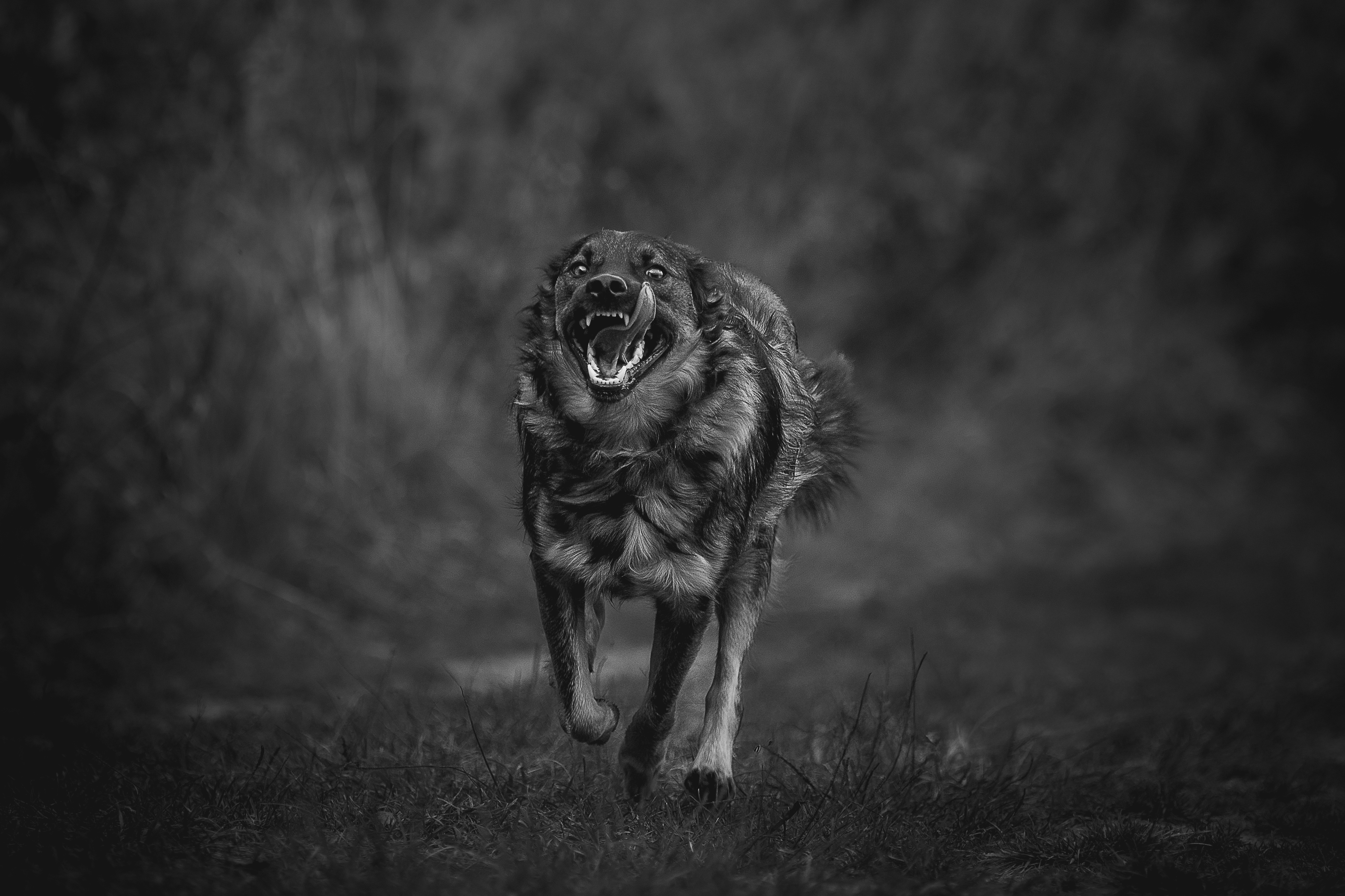 , Елена Самусенкова