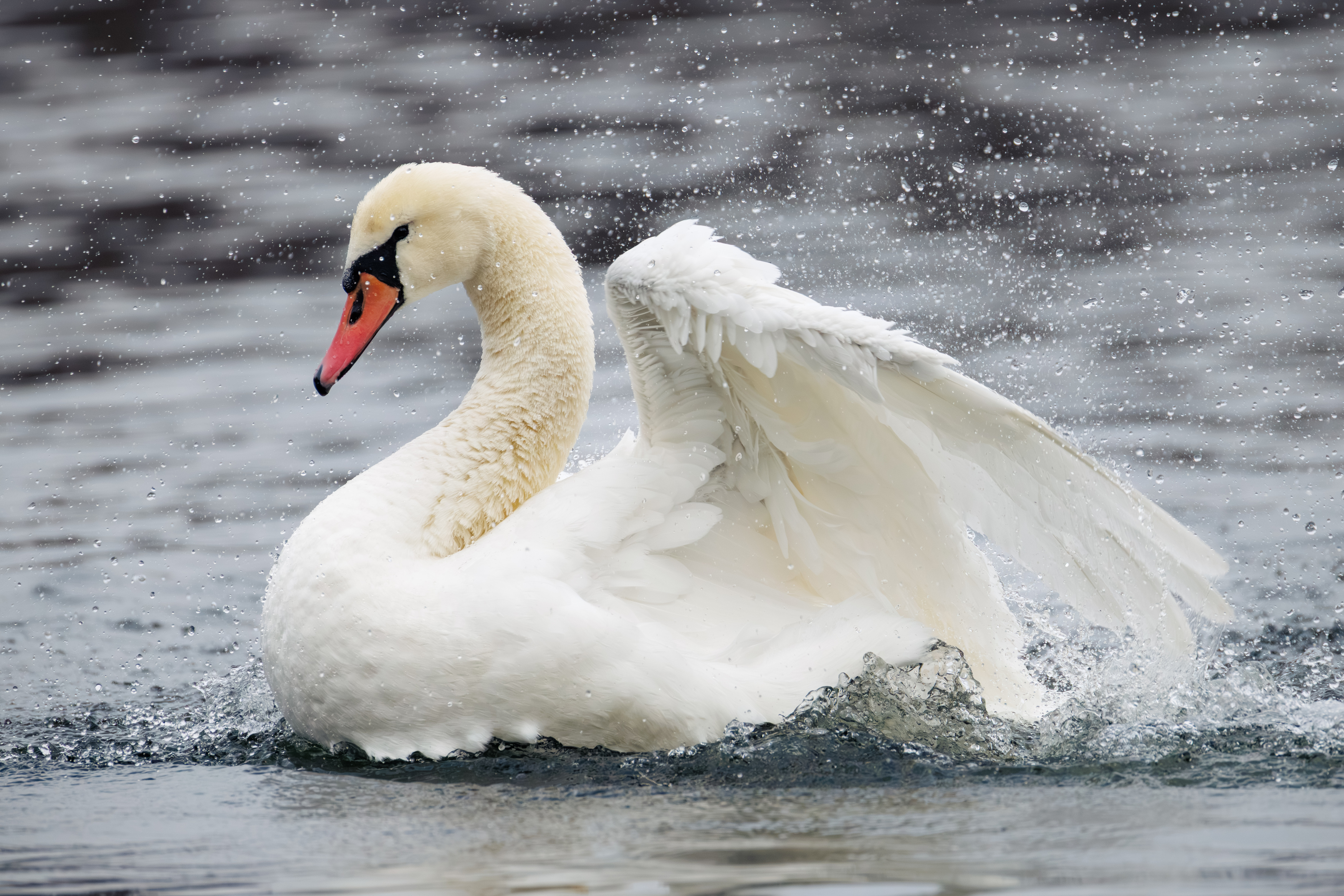 , ssmirs Сергей