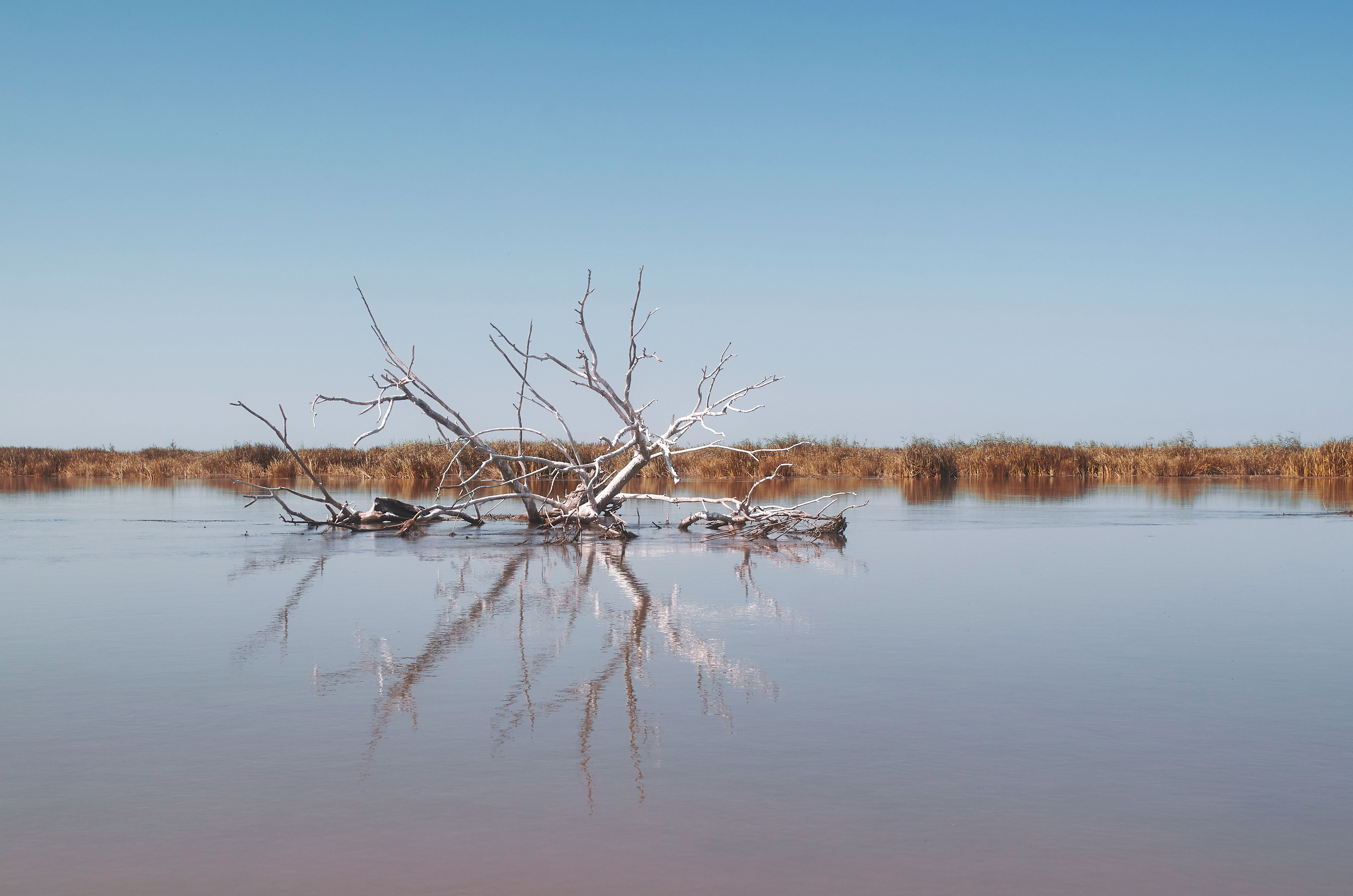 волга, россия, астраханская область, , Павел Сторчилов