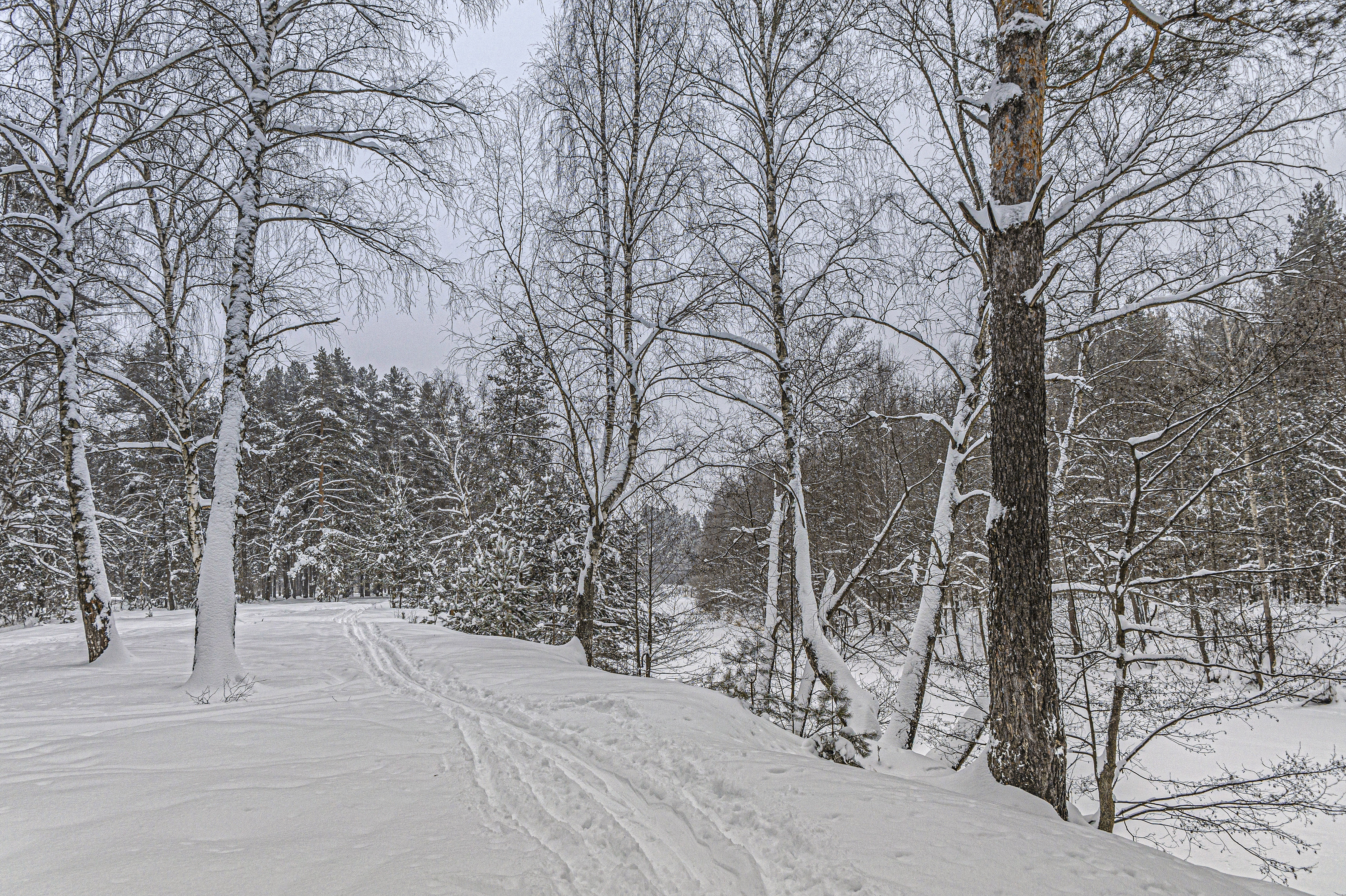 , Шитов Александр