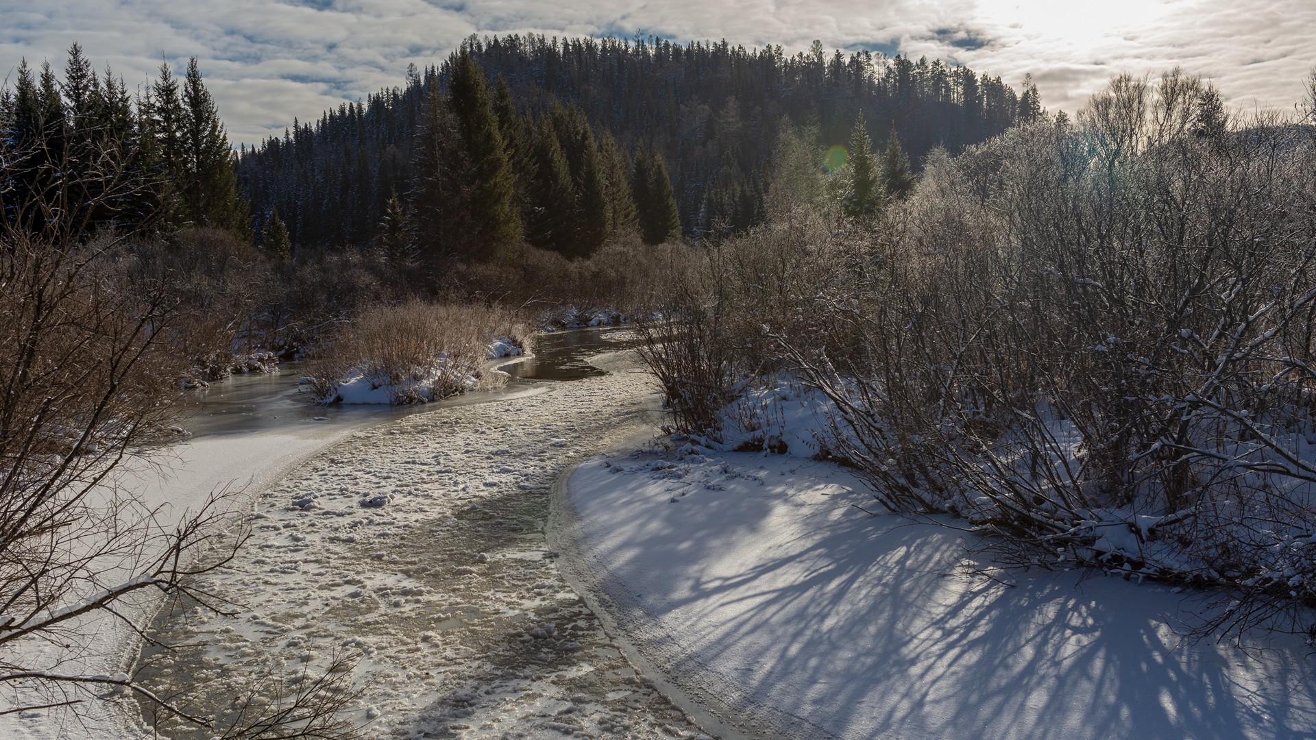 базаиха ноябрь, Беляев Юрий