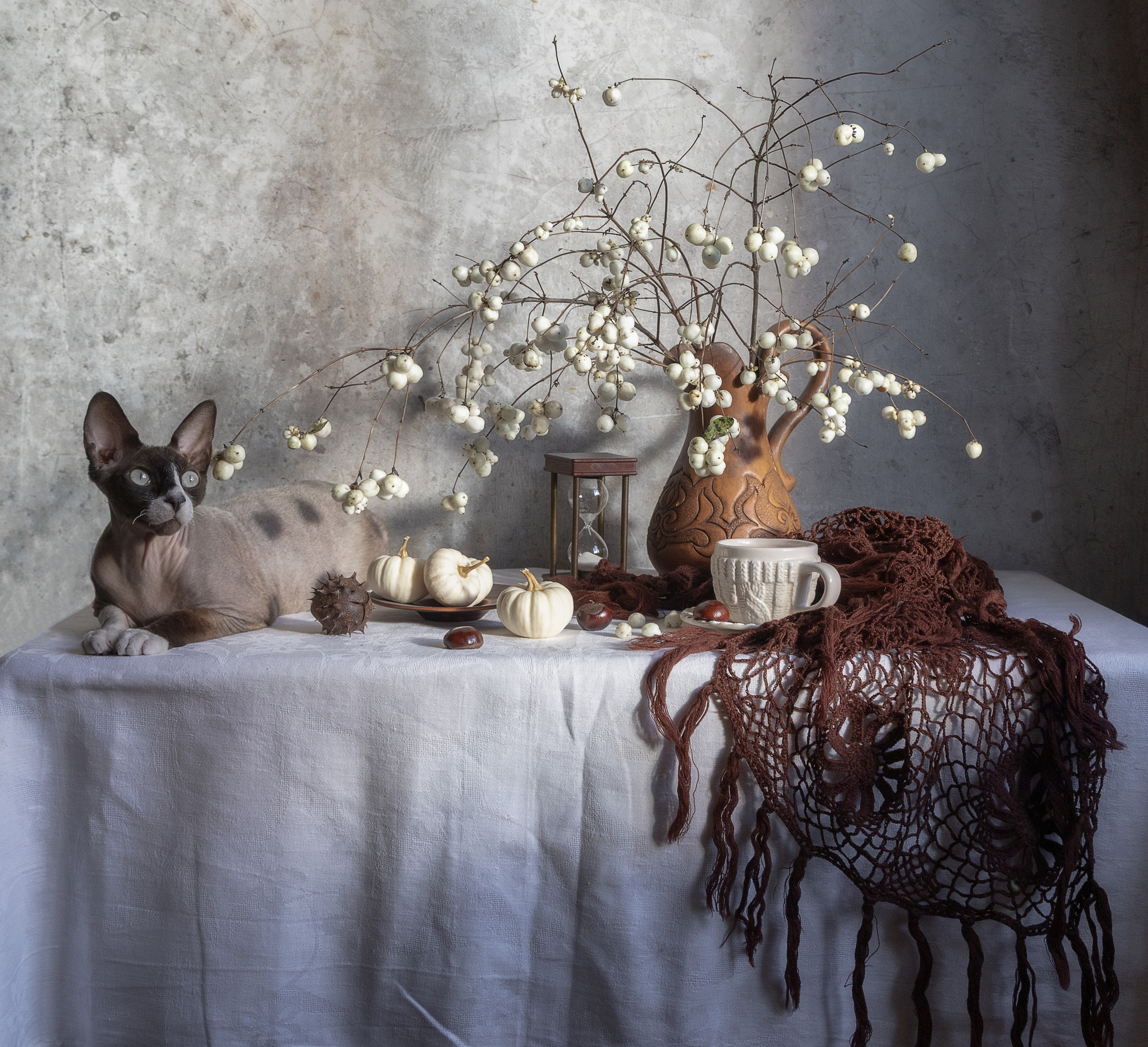 натюрморт, кот, шаль, снежноягодник, тыква, тыквы, каштан, кружка, часы, Татьяна Феденкова