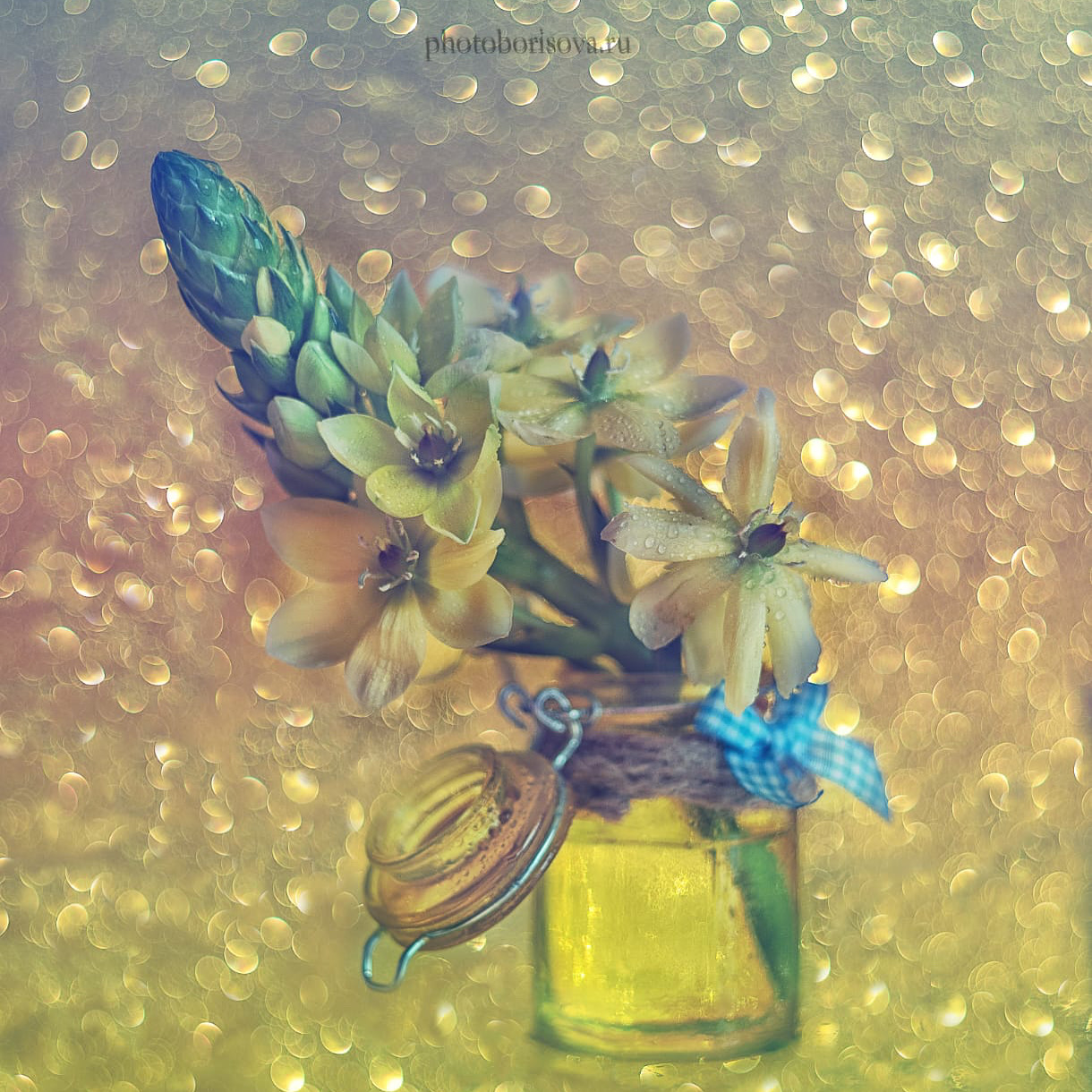 , Юлия Борисова