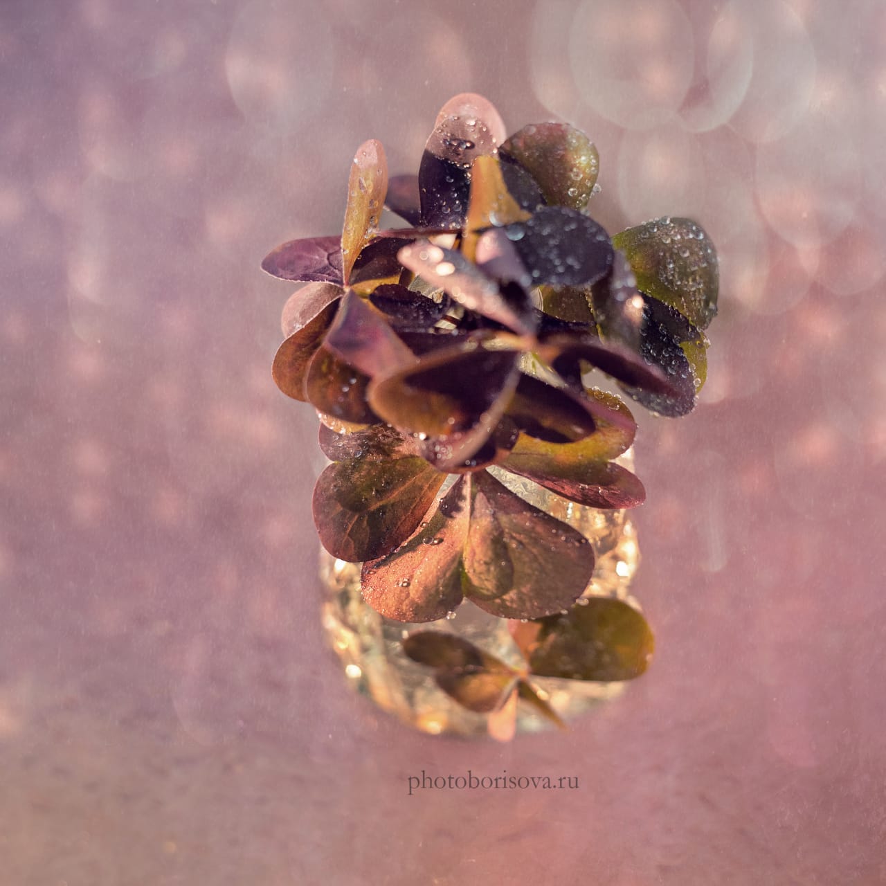 , Юлия Борисова