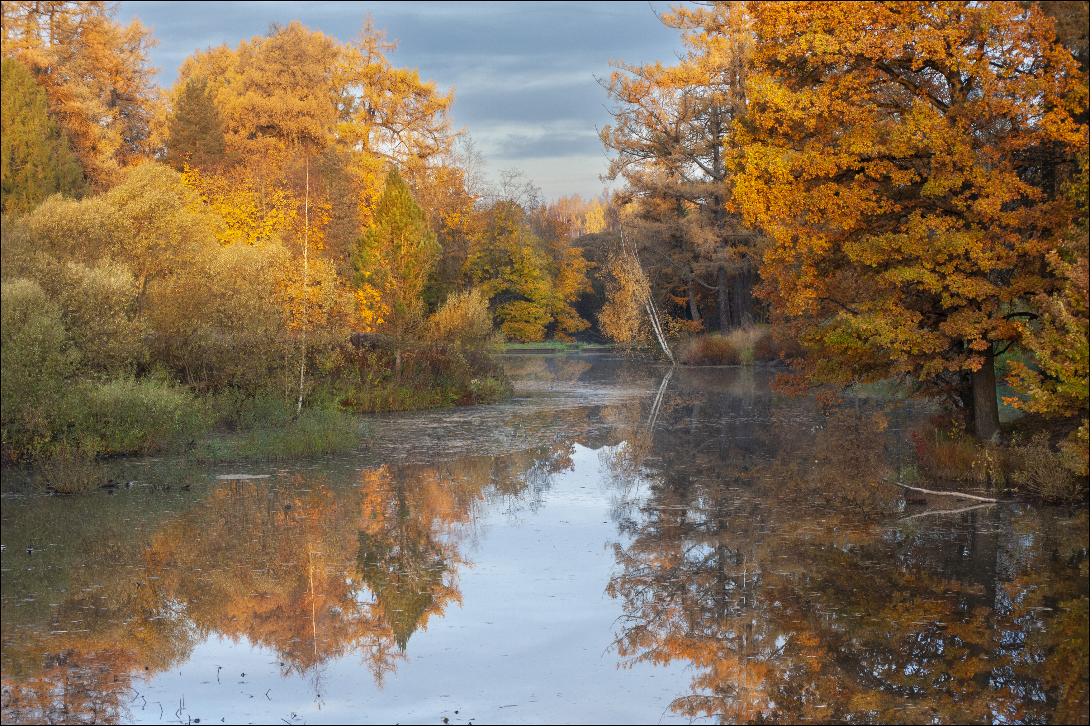 , Георгий Сапожников