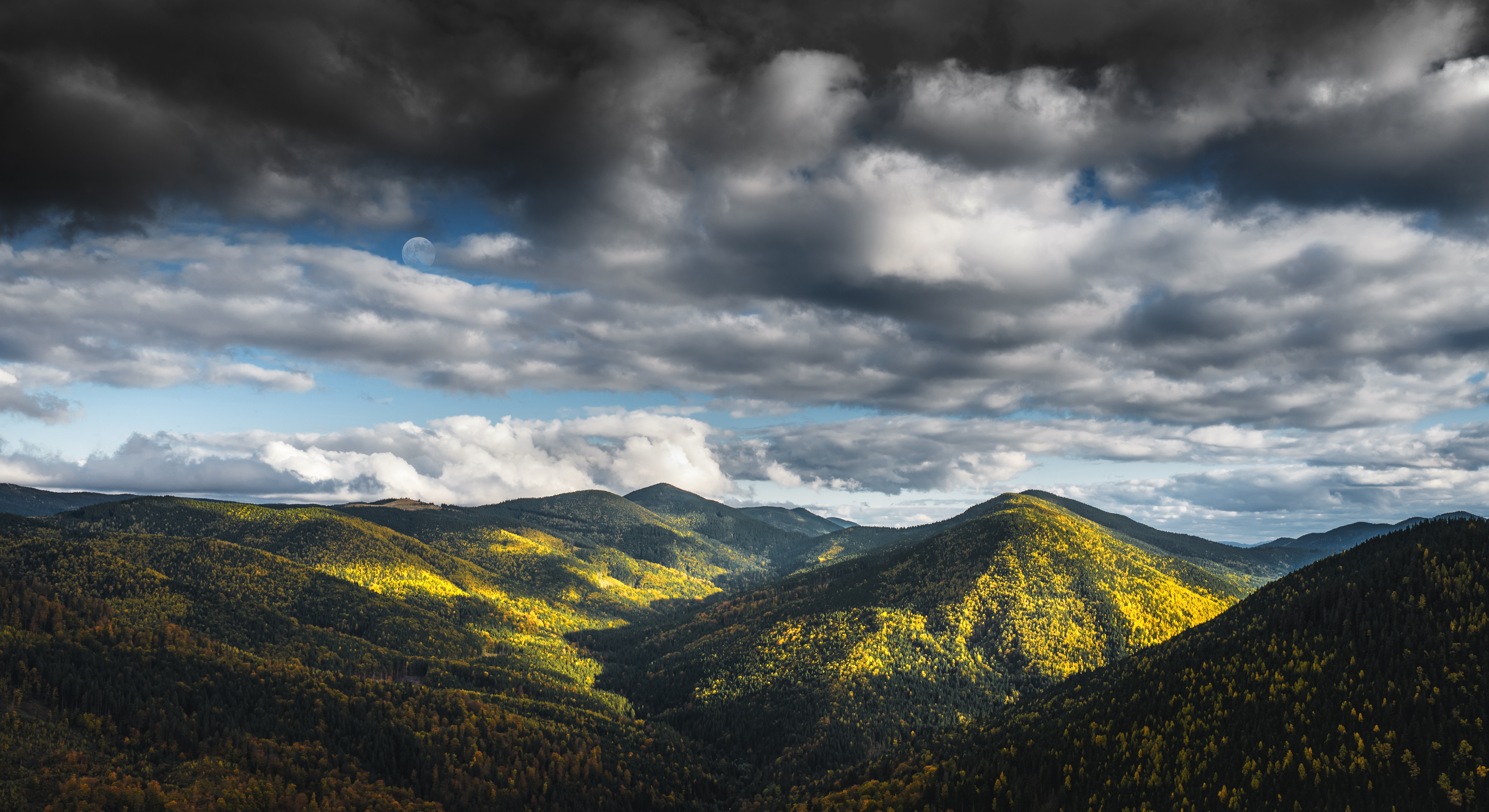 , Дмитрий Иванов