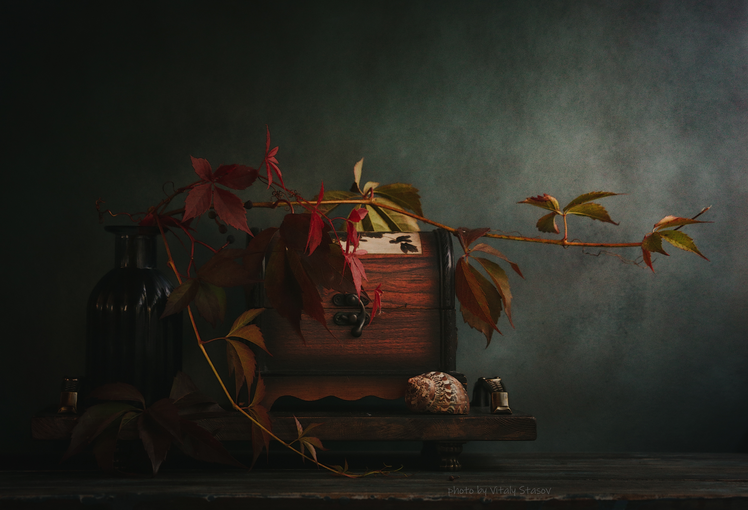 натюрморт, листья, винограда, винтаж, still life, Стасов Виталий
