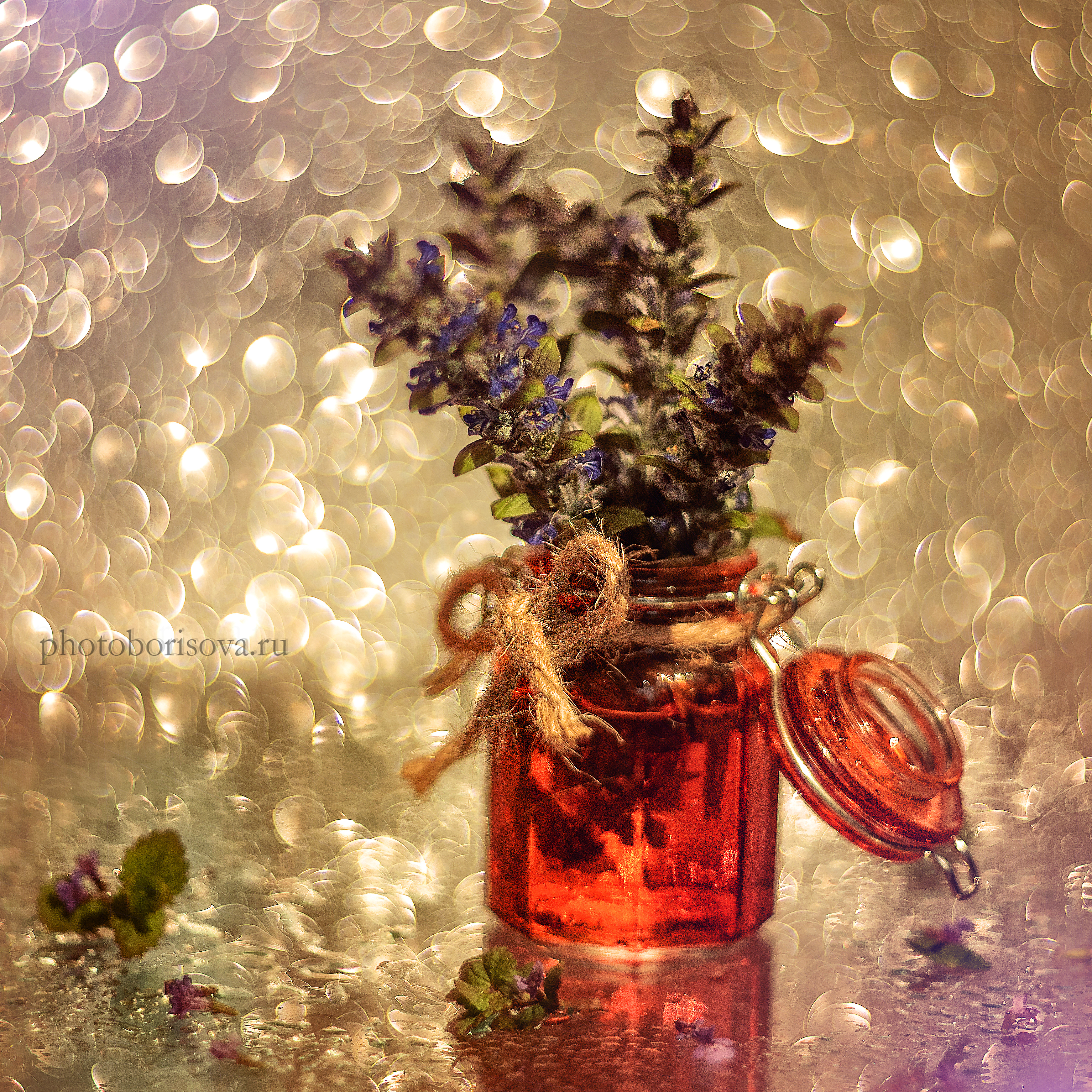 , Юлия Борисова