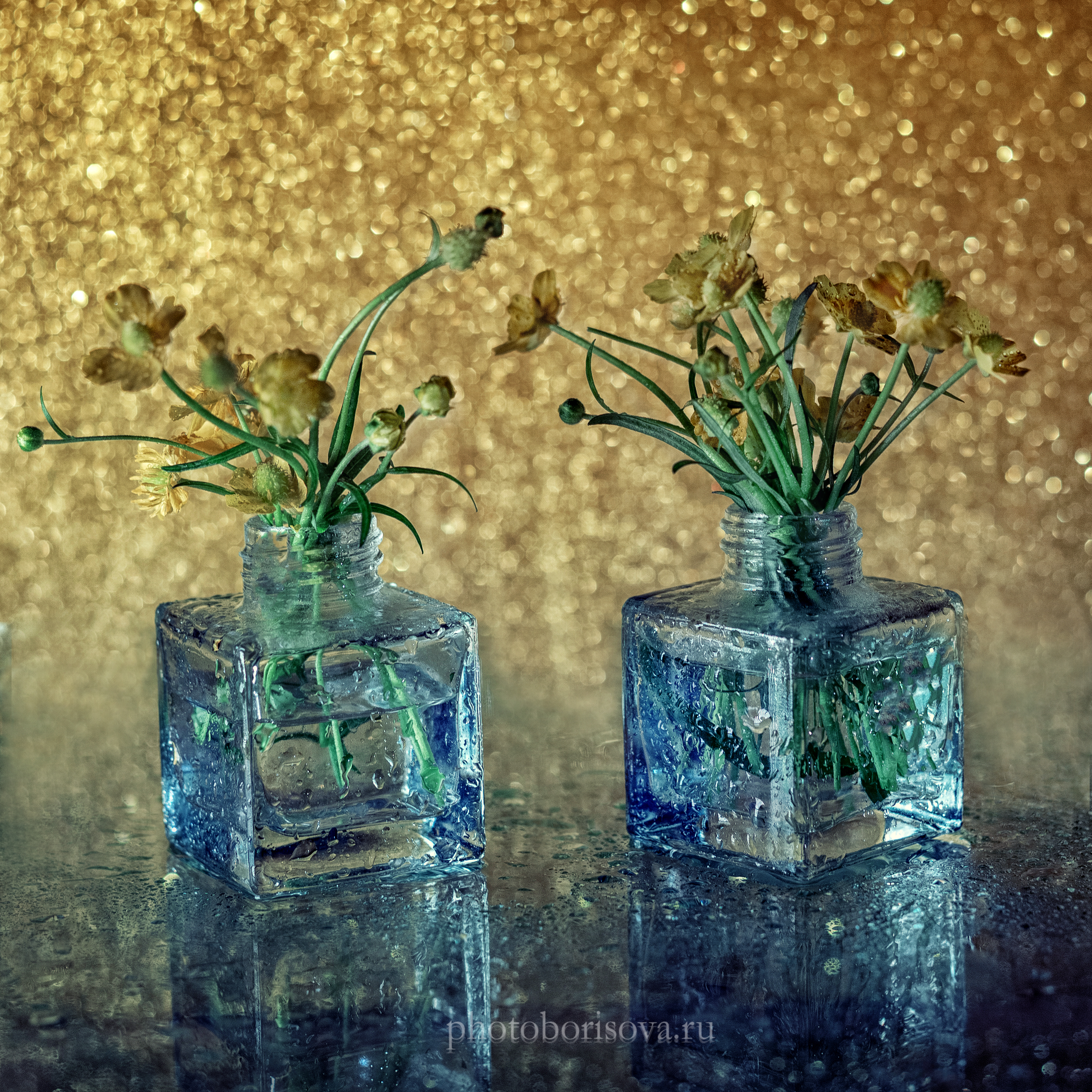 , Юлия Борисова