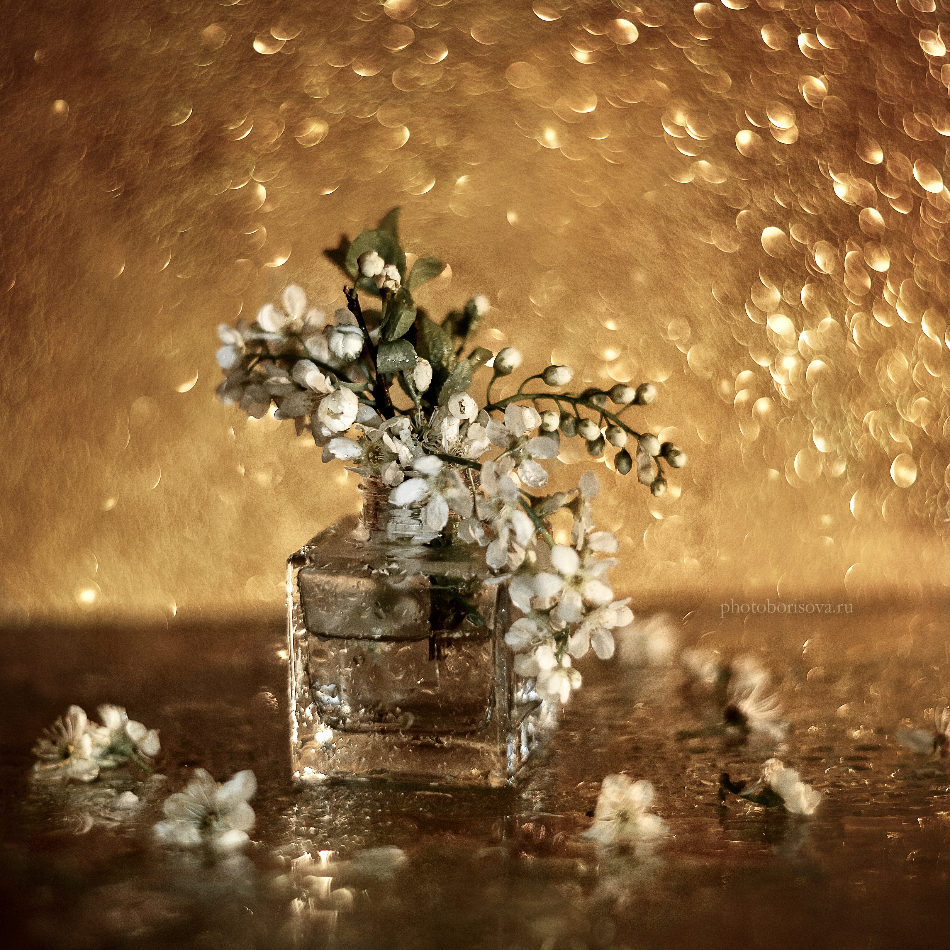 , Юлия Борисова