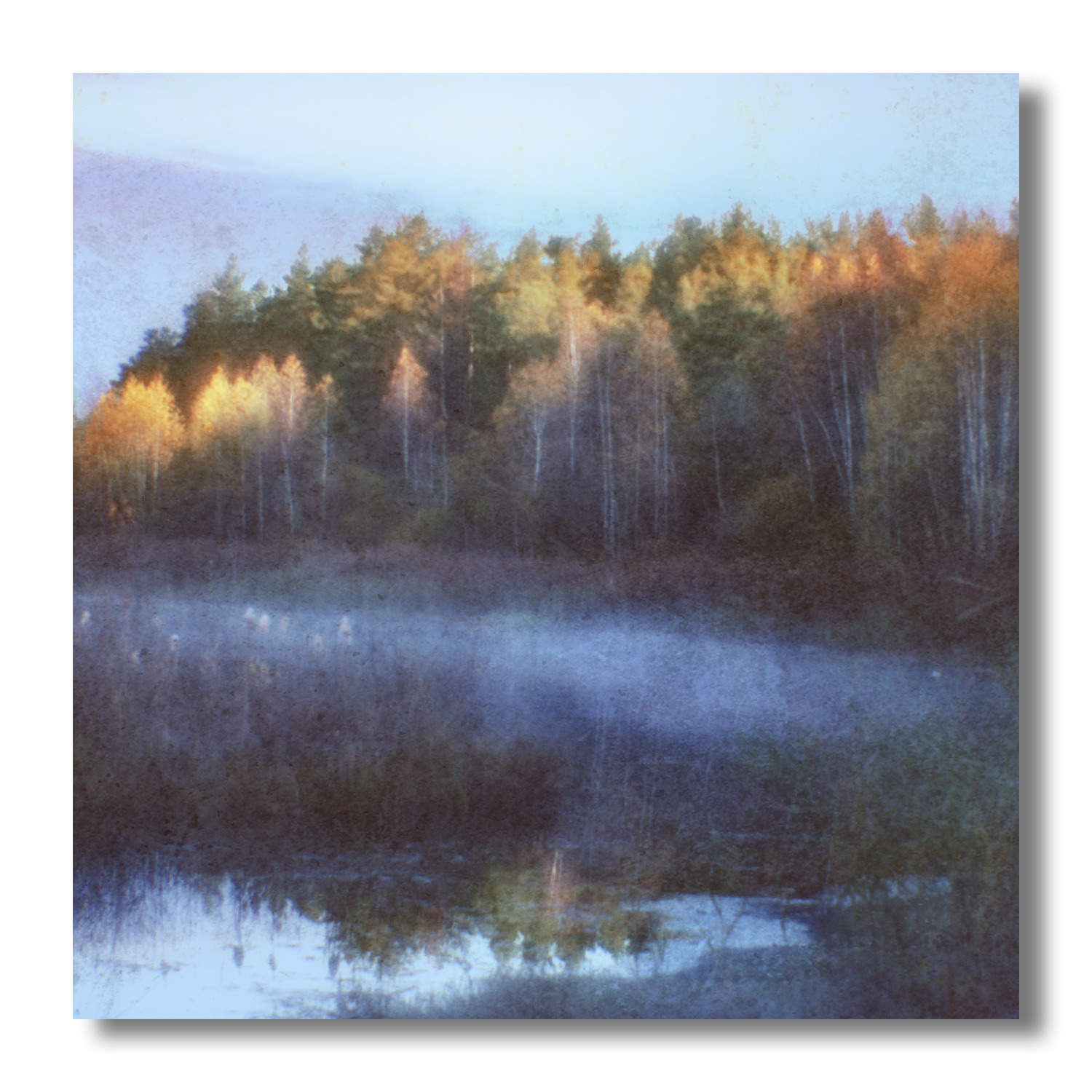 , Ефимов Андрей