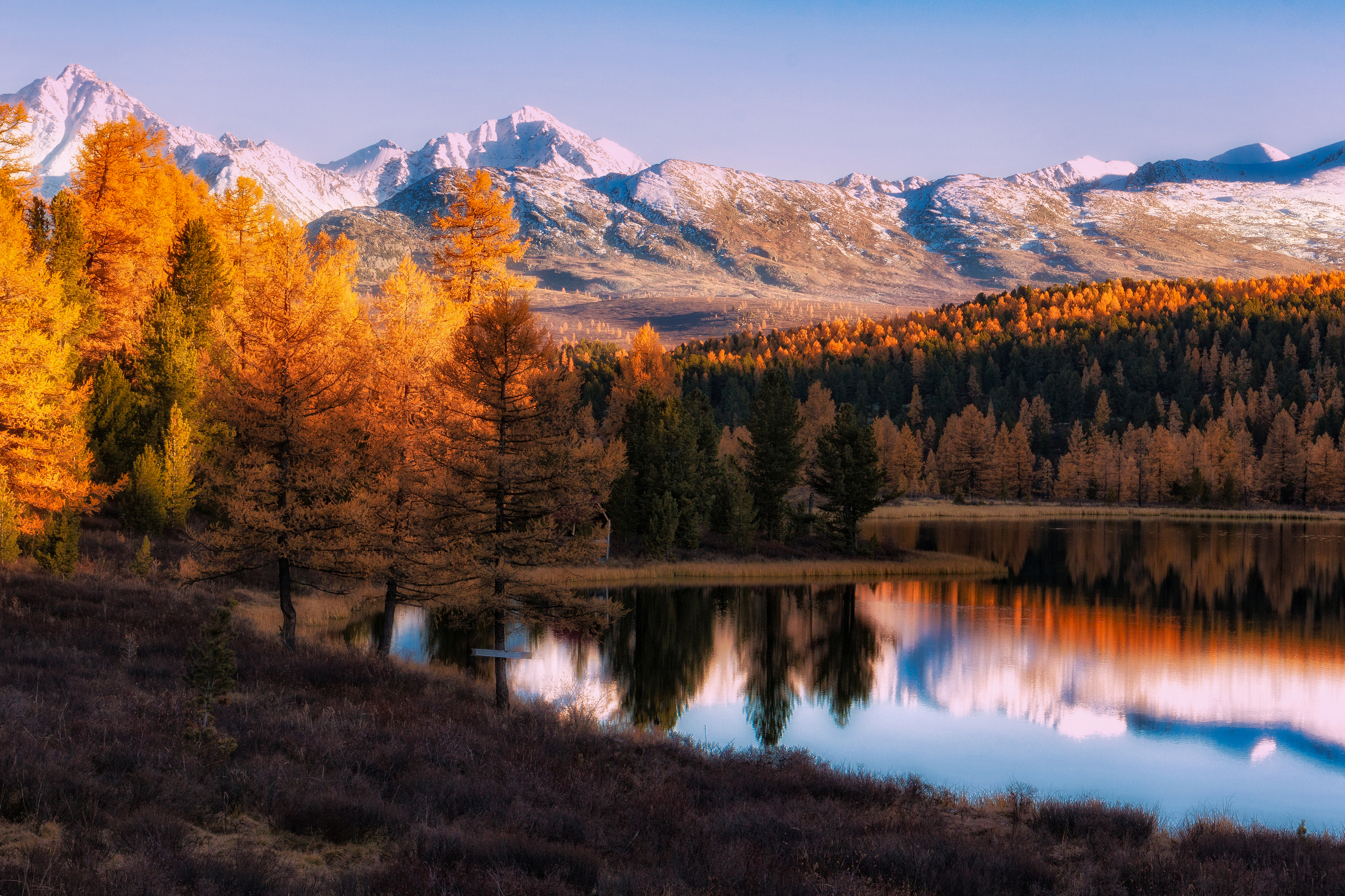 , Юдинских Марина