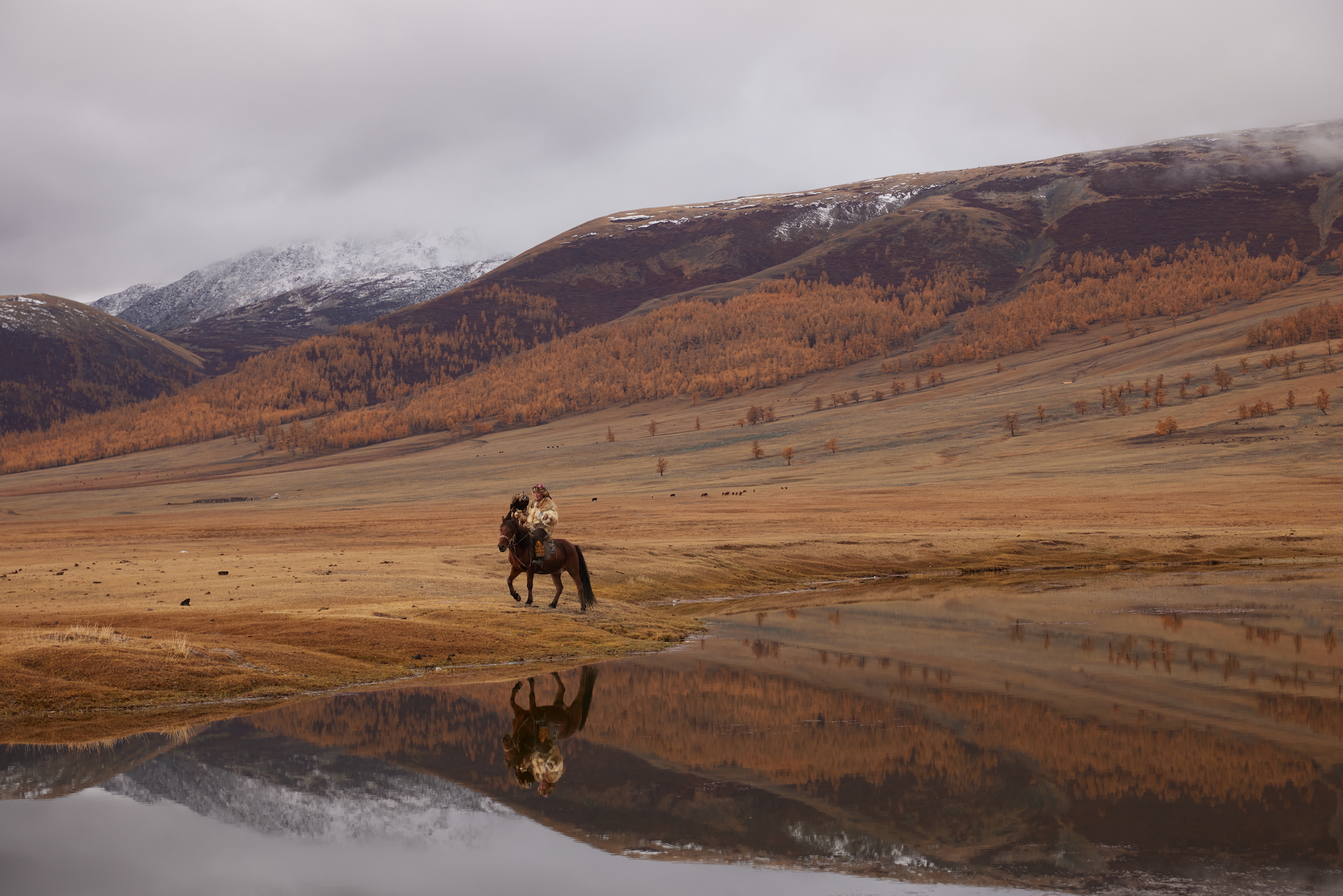 Беркучи, Монголия, Boris Konovalov