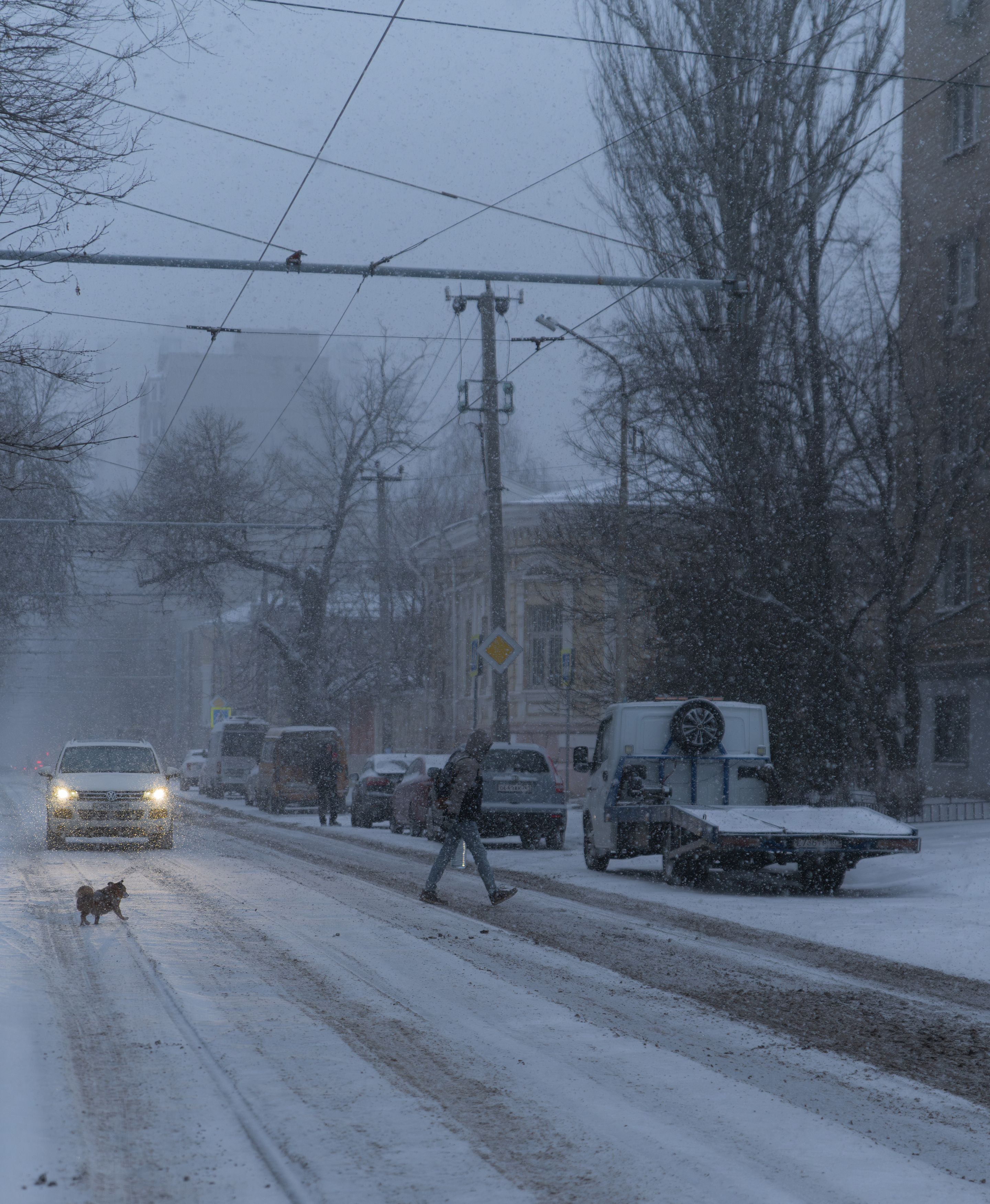 snow, twilight, street, rostov, evning, winter, snowfall, cold,, Бугримов Егор