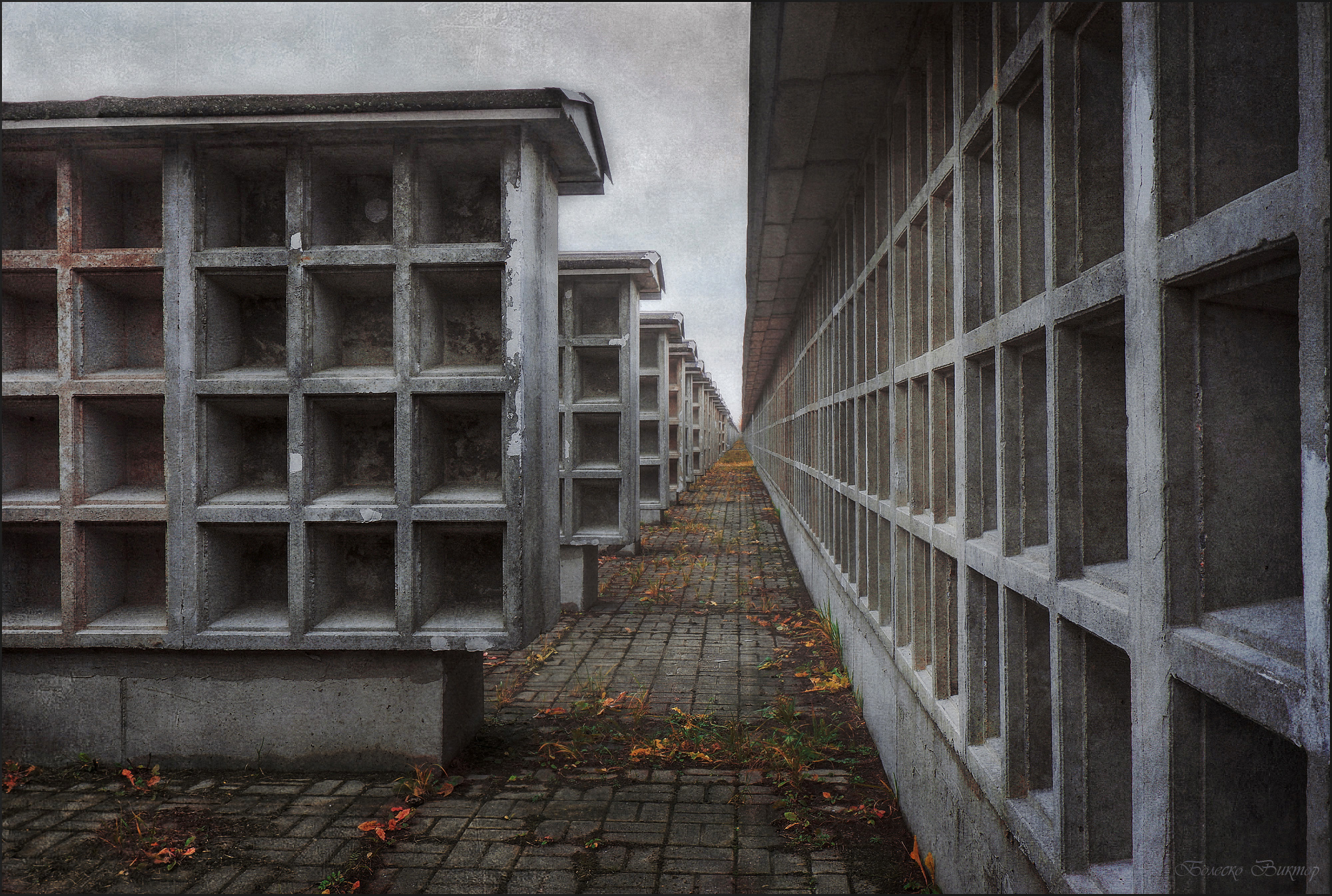 , Болеско Виктор